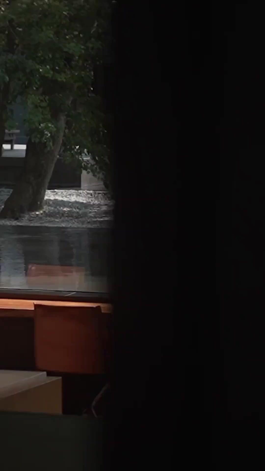 (Dubbed)Emerged from the Ashes