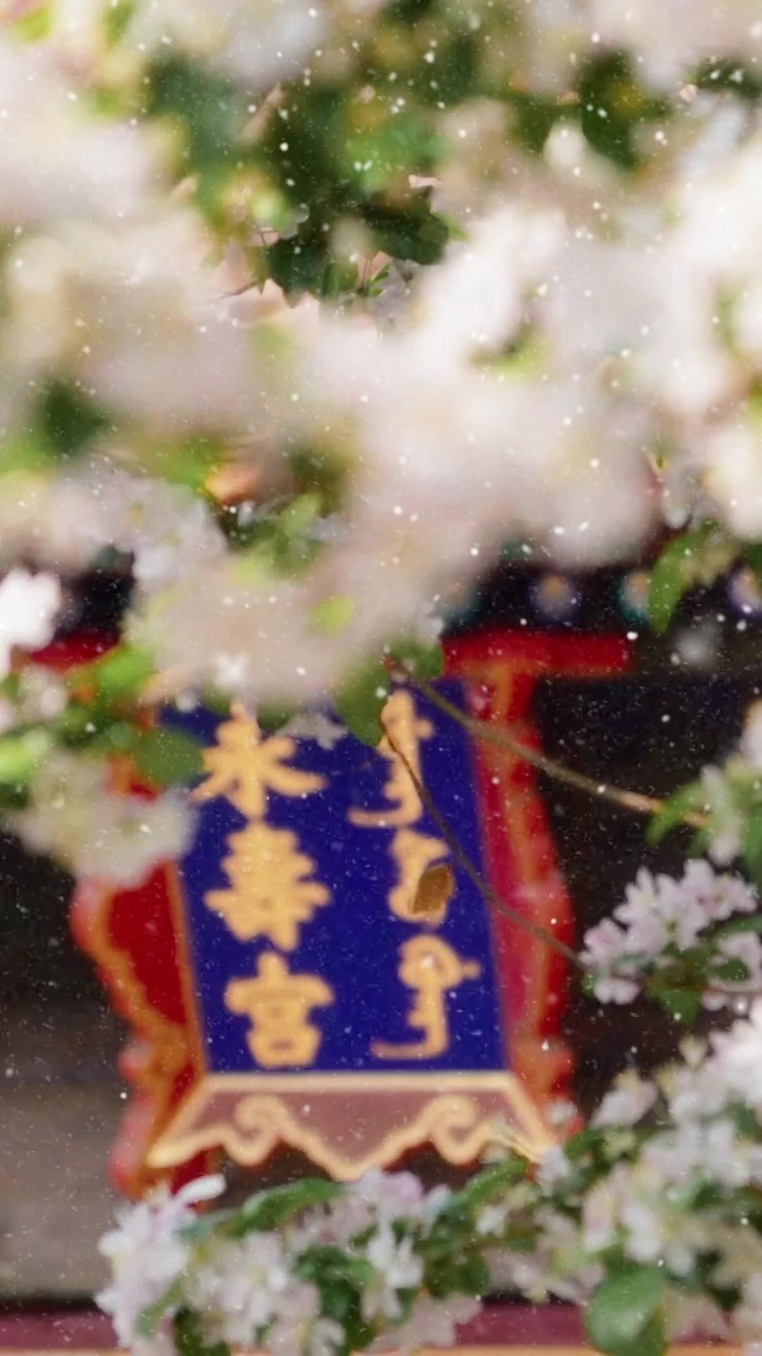 Regina Rinata: Fiamma della Vendetta