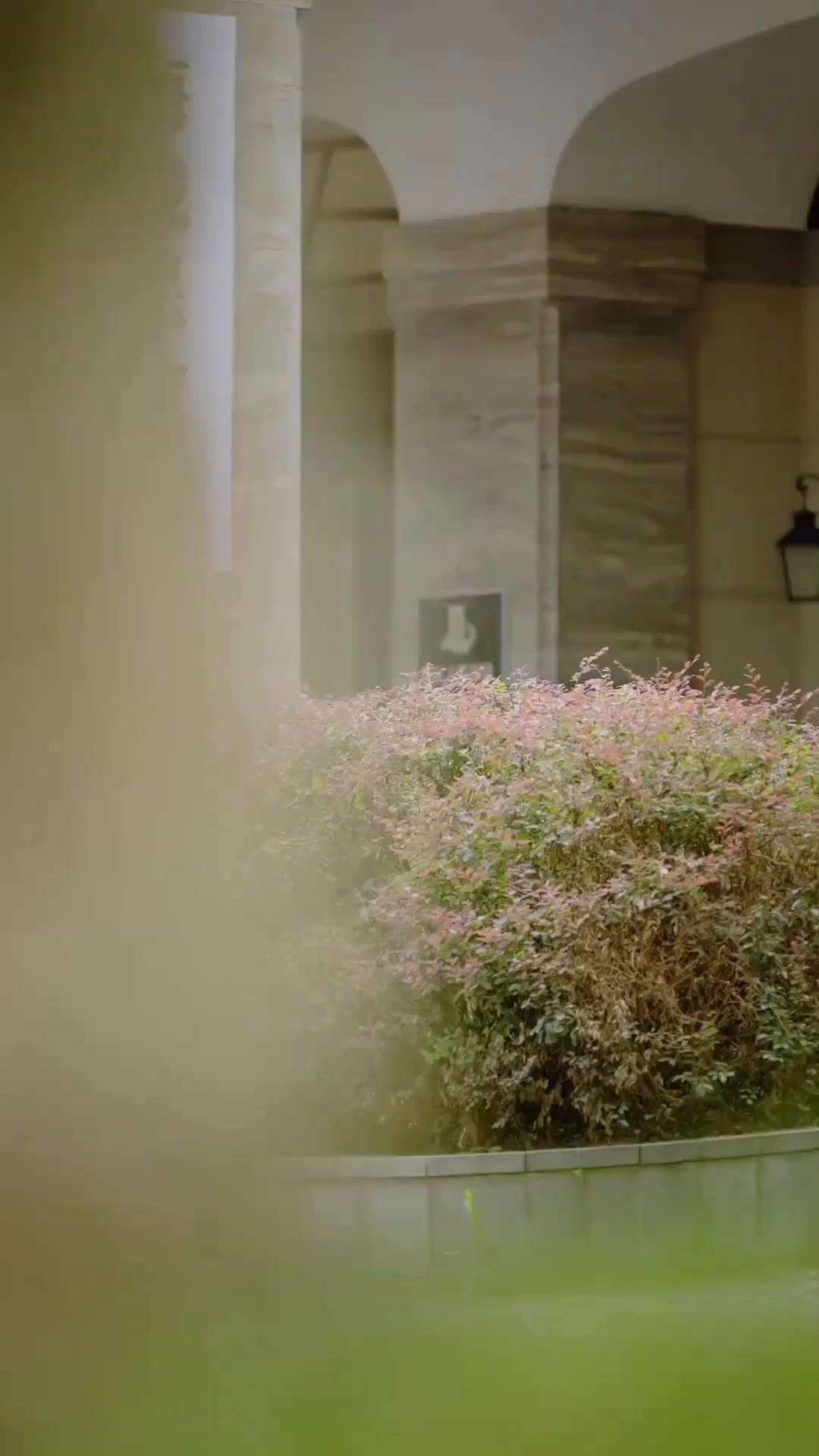 (Doblado) El juego contra los infieles