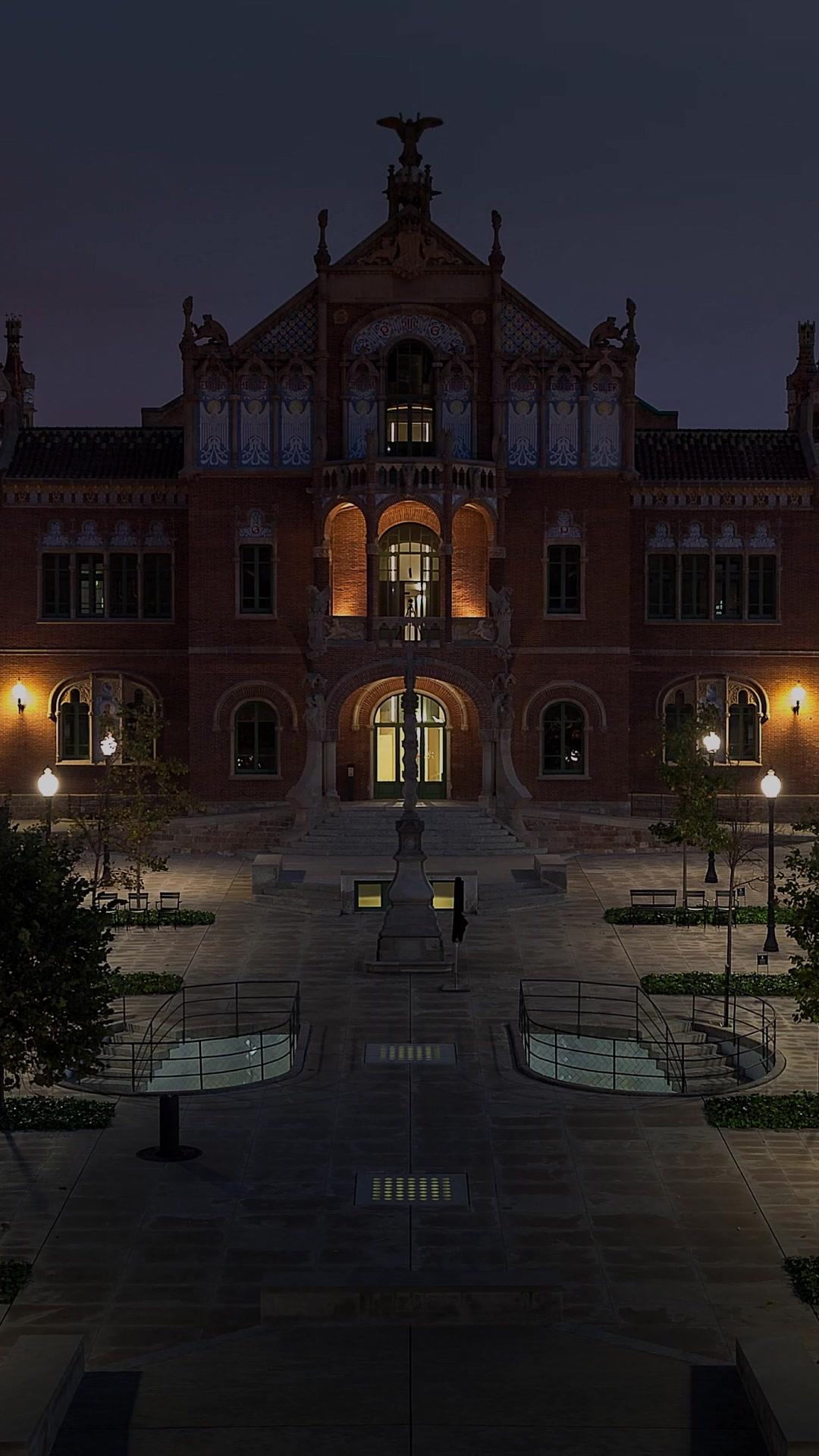 Daisy in the Gun's Chamber