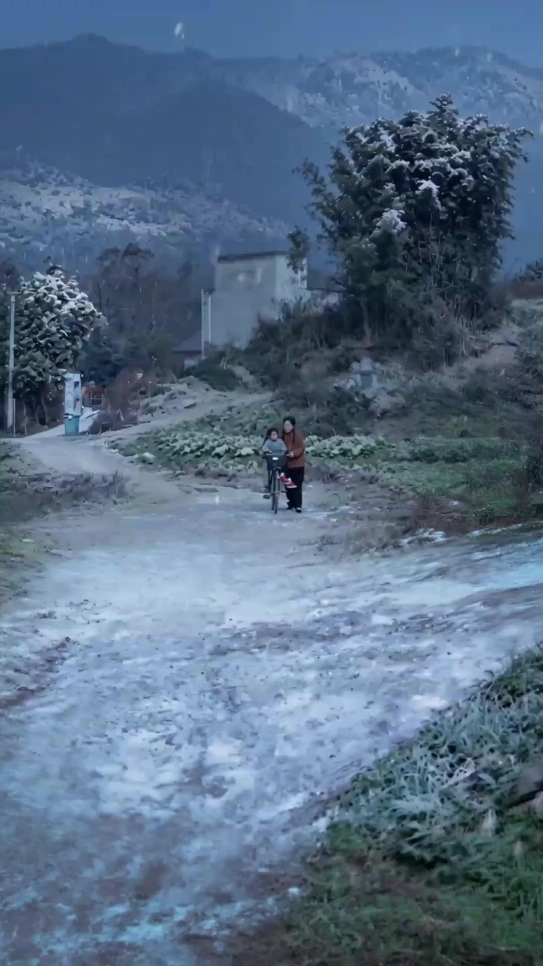 عشرون عاما في الضباب