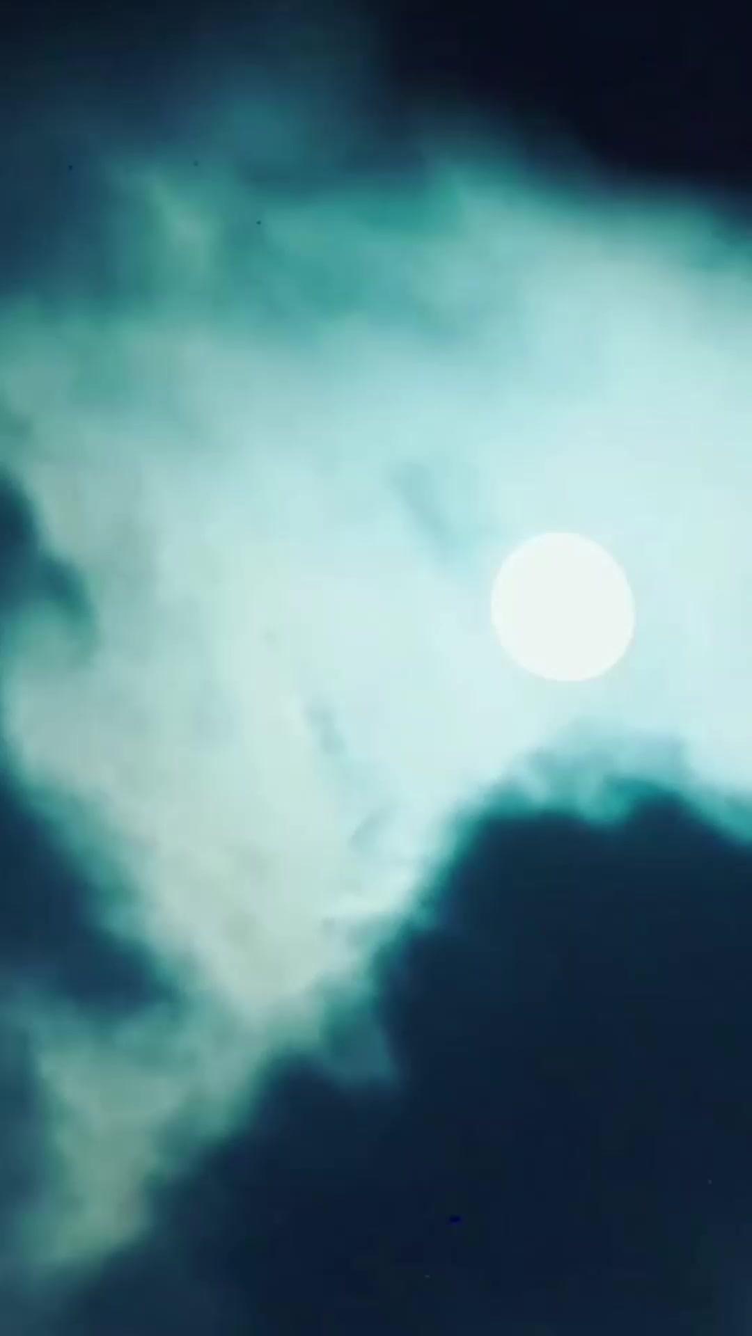 Menantu Hebat Menggoncang Persilatan