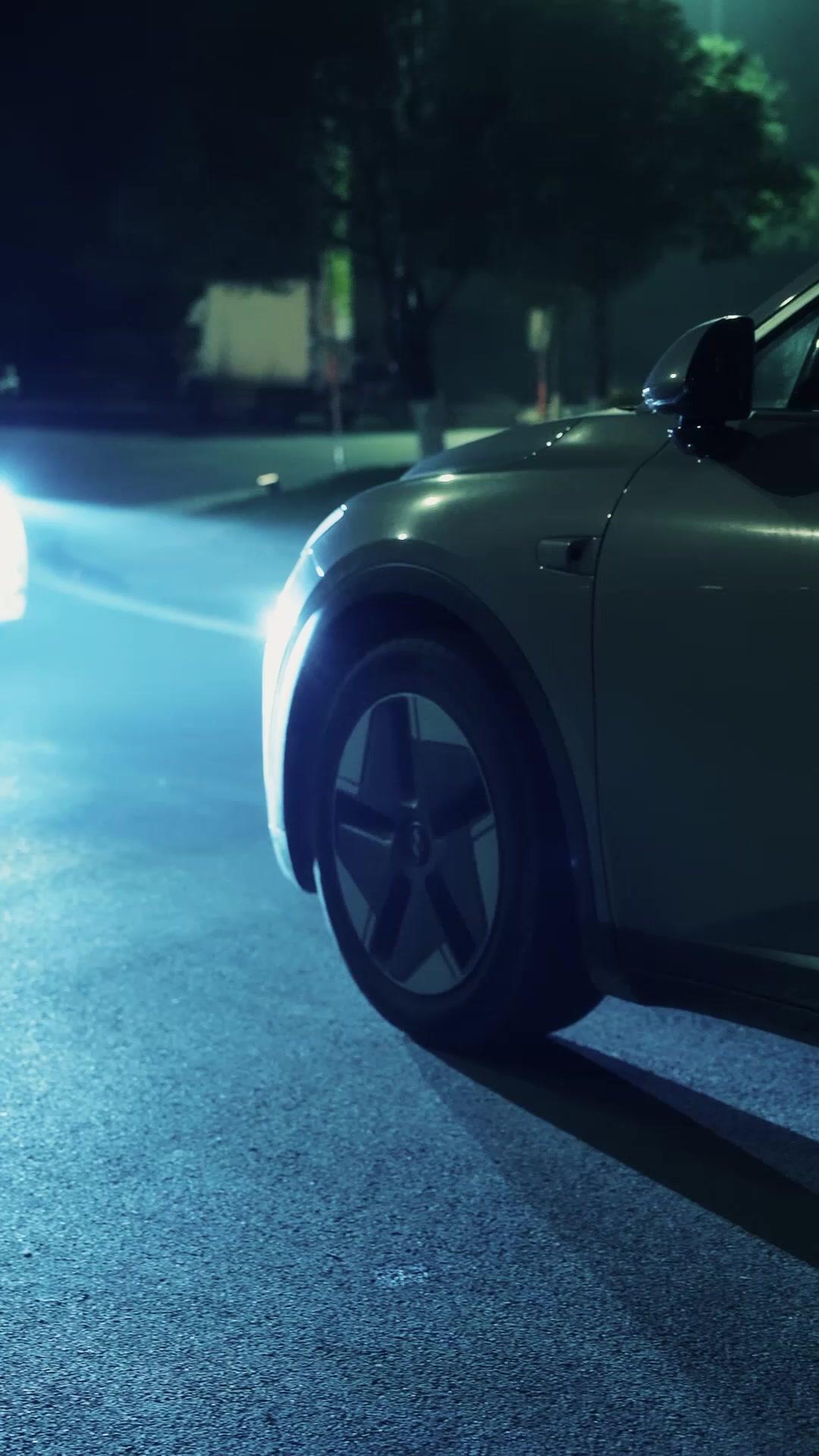 Sessiz Kralın Oyunu