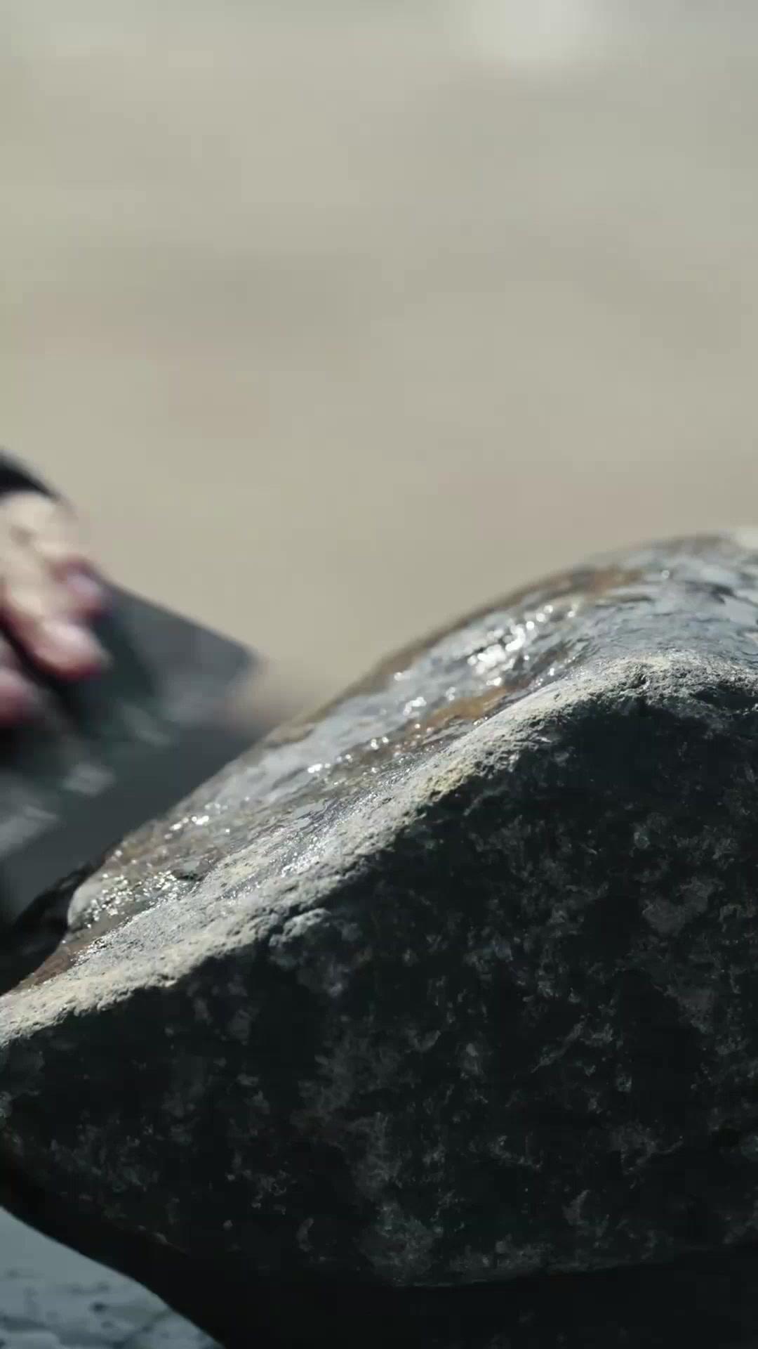 (Dubbed)Rise of the Thug