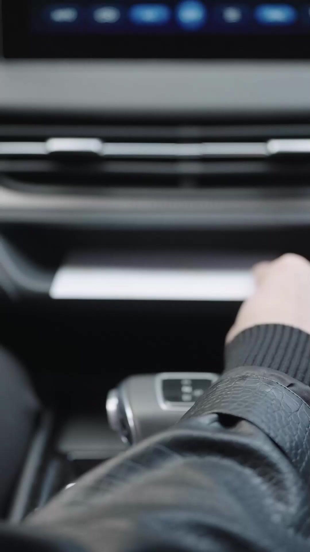 The Imposter Boxing King