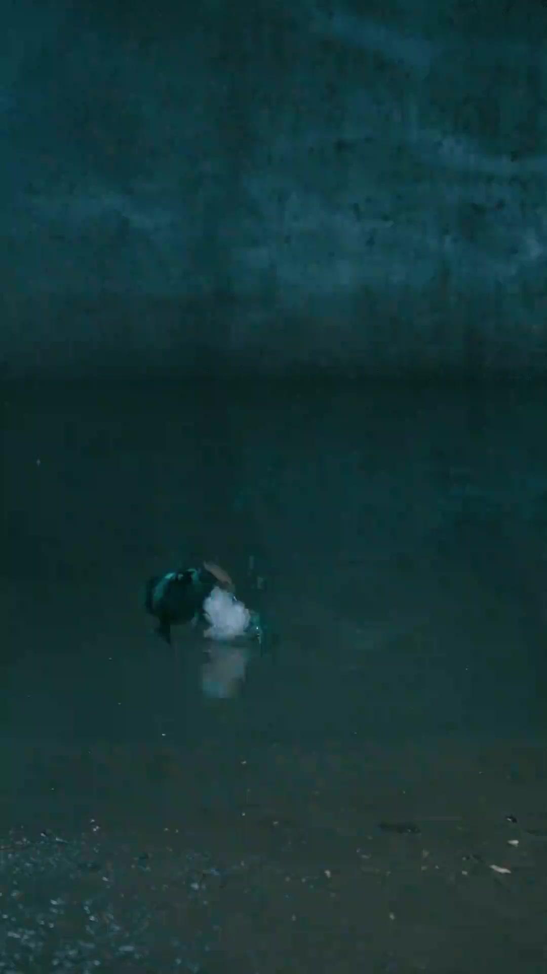 Reborn to Stop the Python