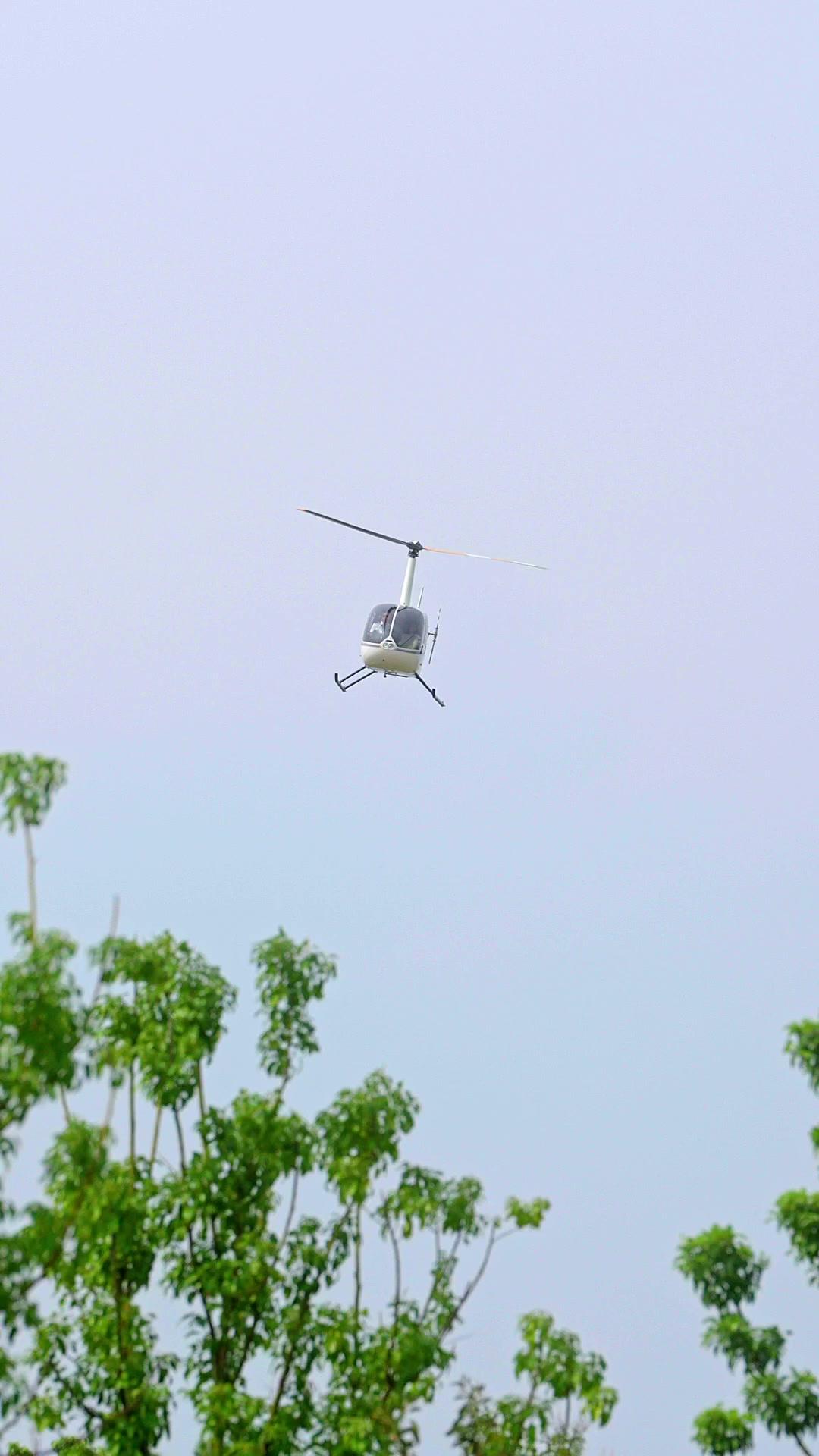 閃婚後發現老婆是幫派團寵