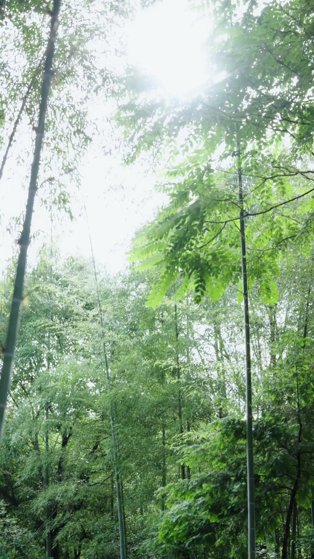 Mi esposa es un misterio