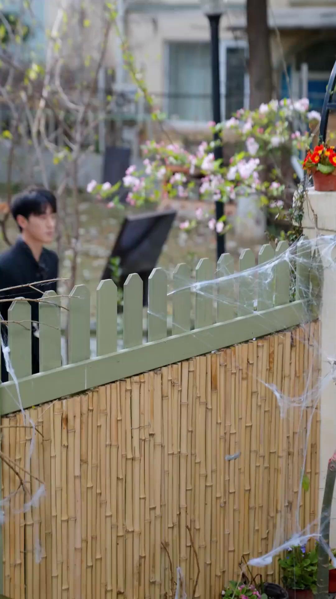 Quando o Amor Renace das Cinzas