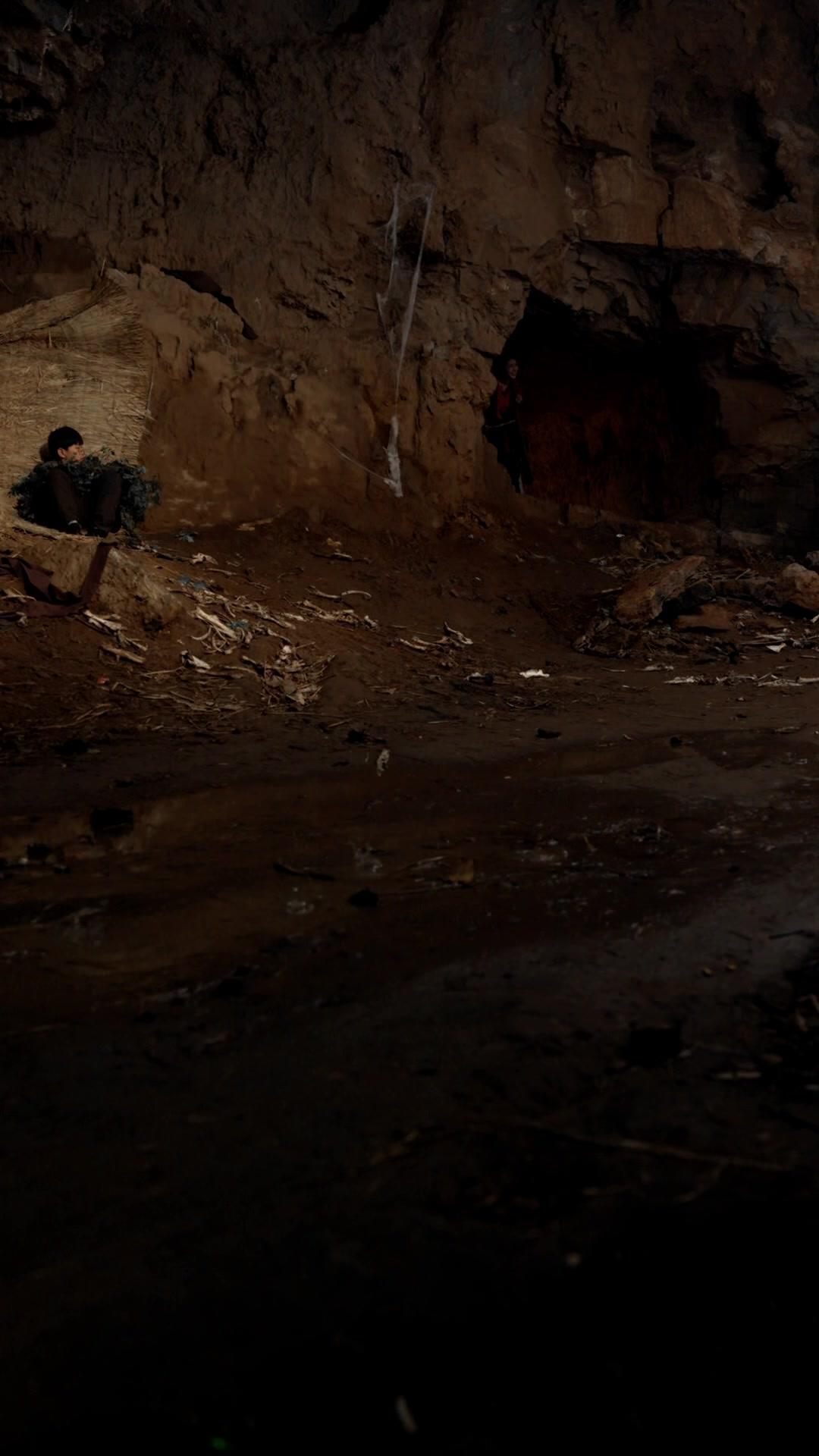 哀牢山驚魂人面熊