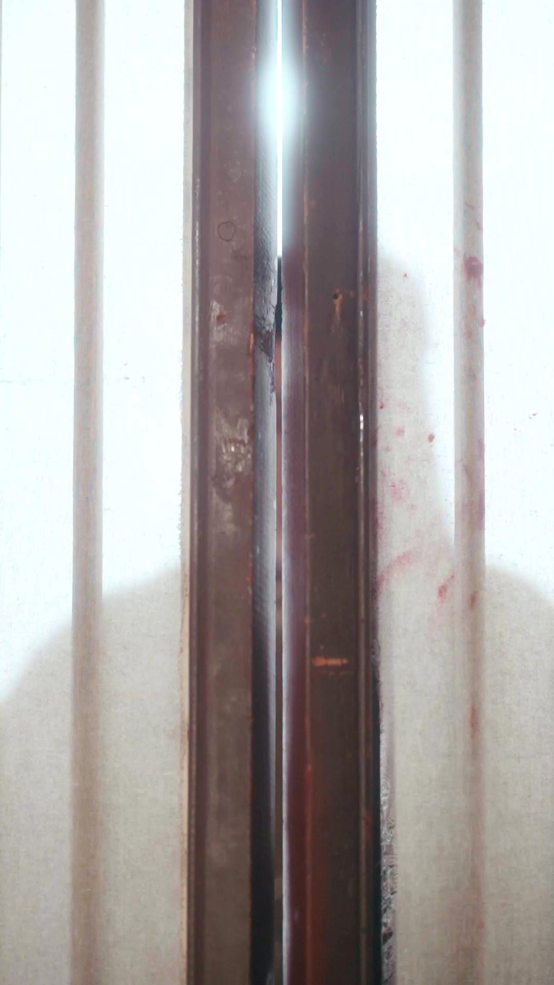 ปิ่นหงส์สลับชะตา