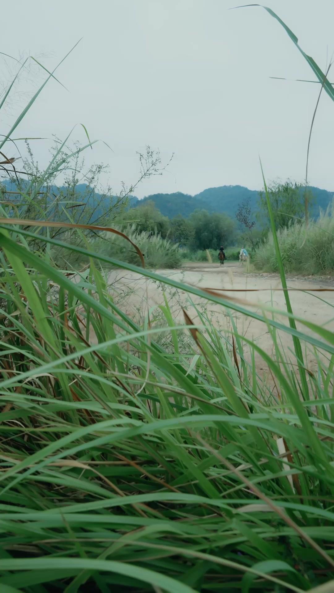 Kembalinya Sang Ratu