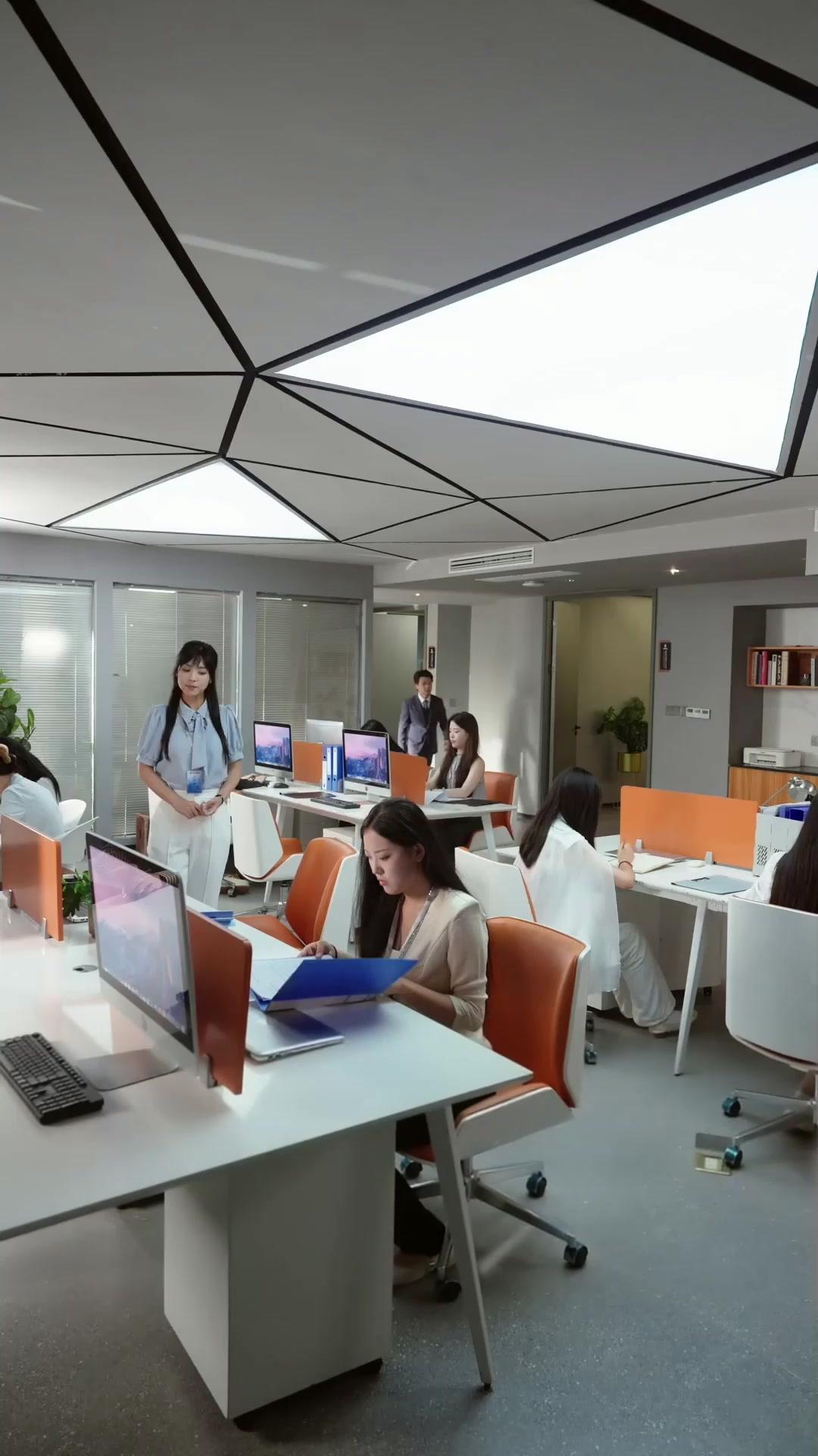 O CEO Ainda Não Divorciou