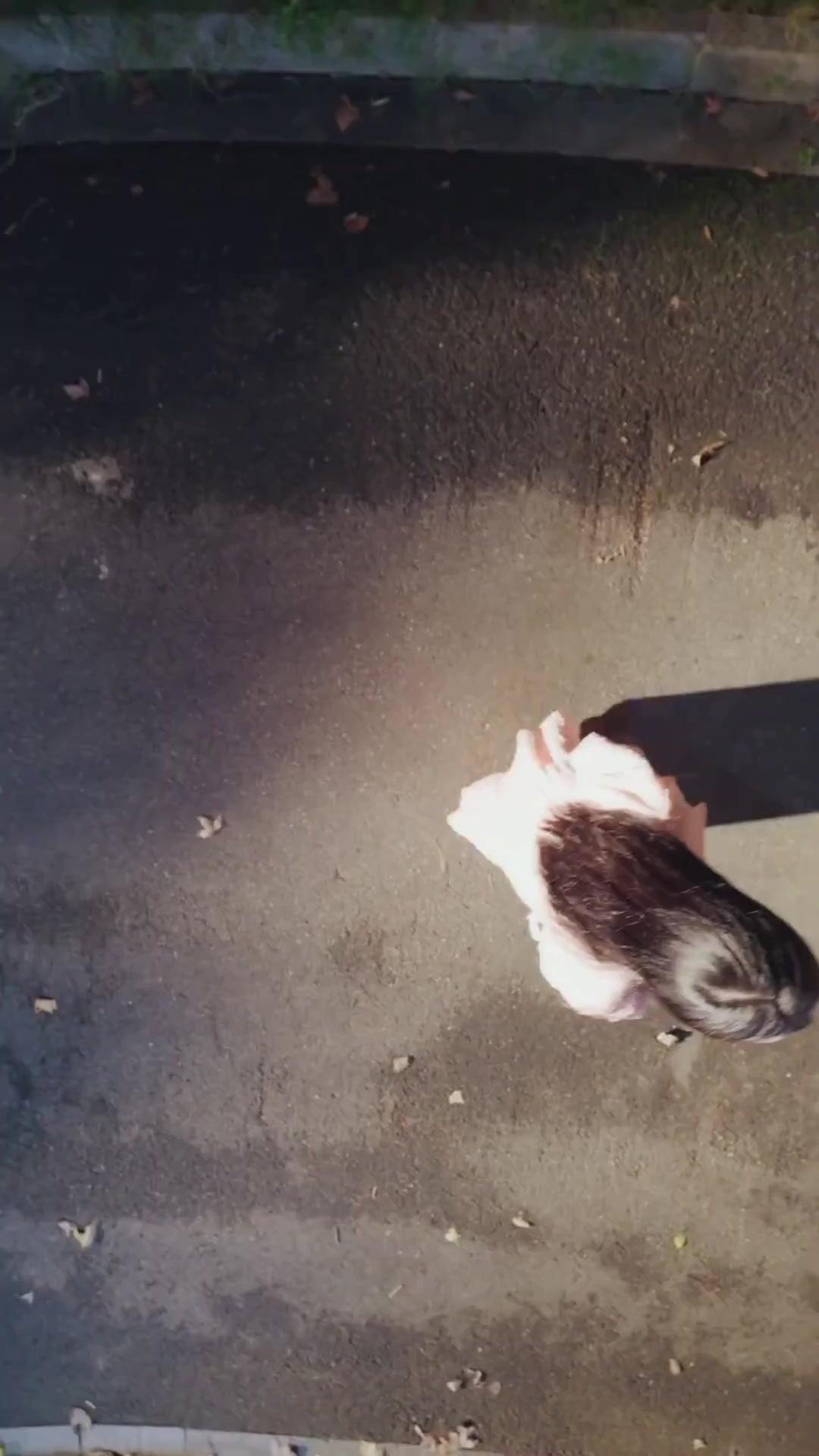 (Doublage) UNE ROSE À ÉPINES