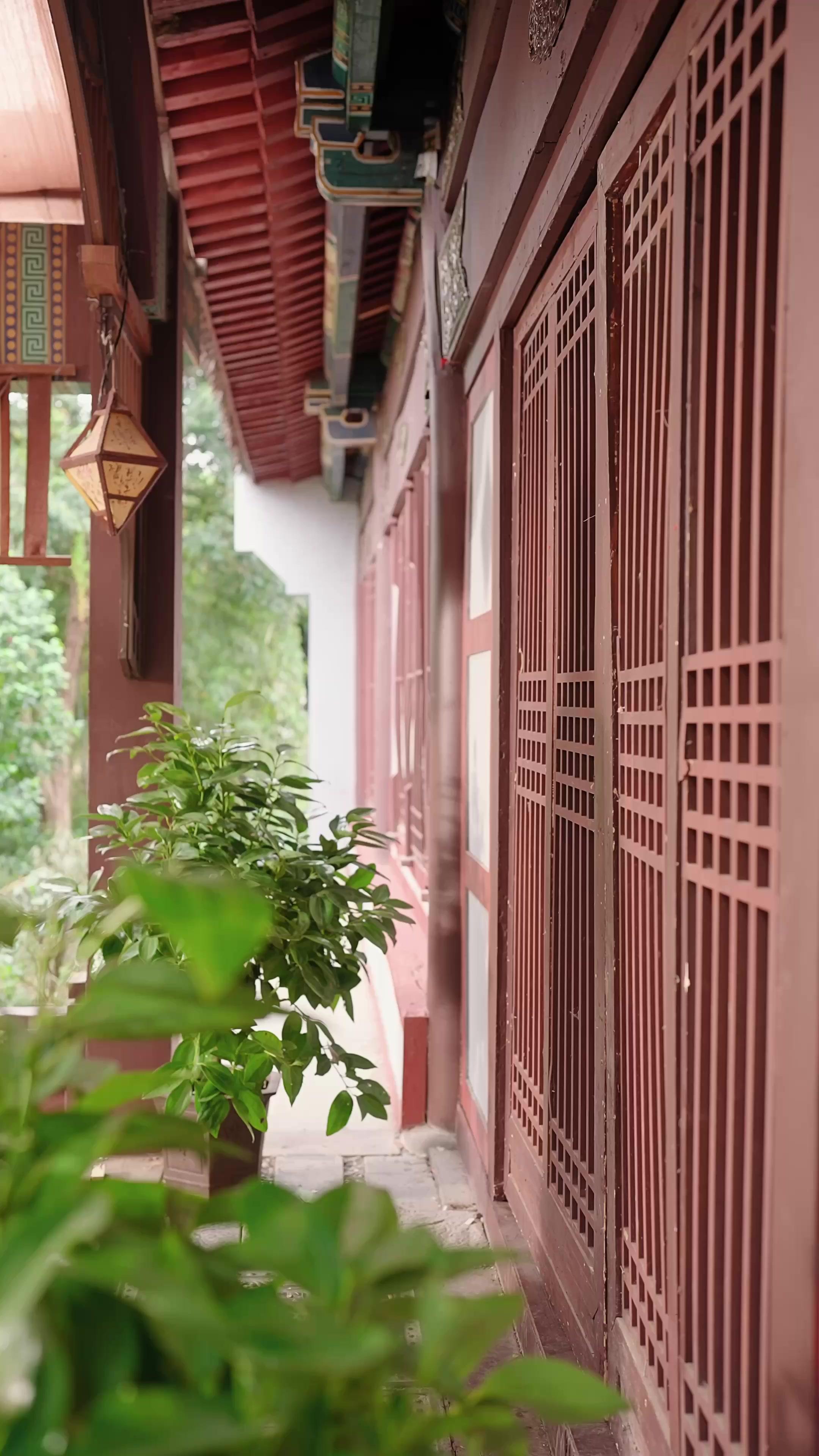 Stolen Nights With My Brother’s Wife