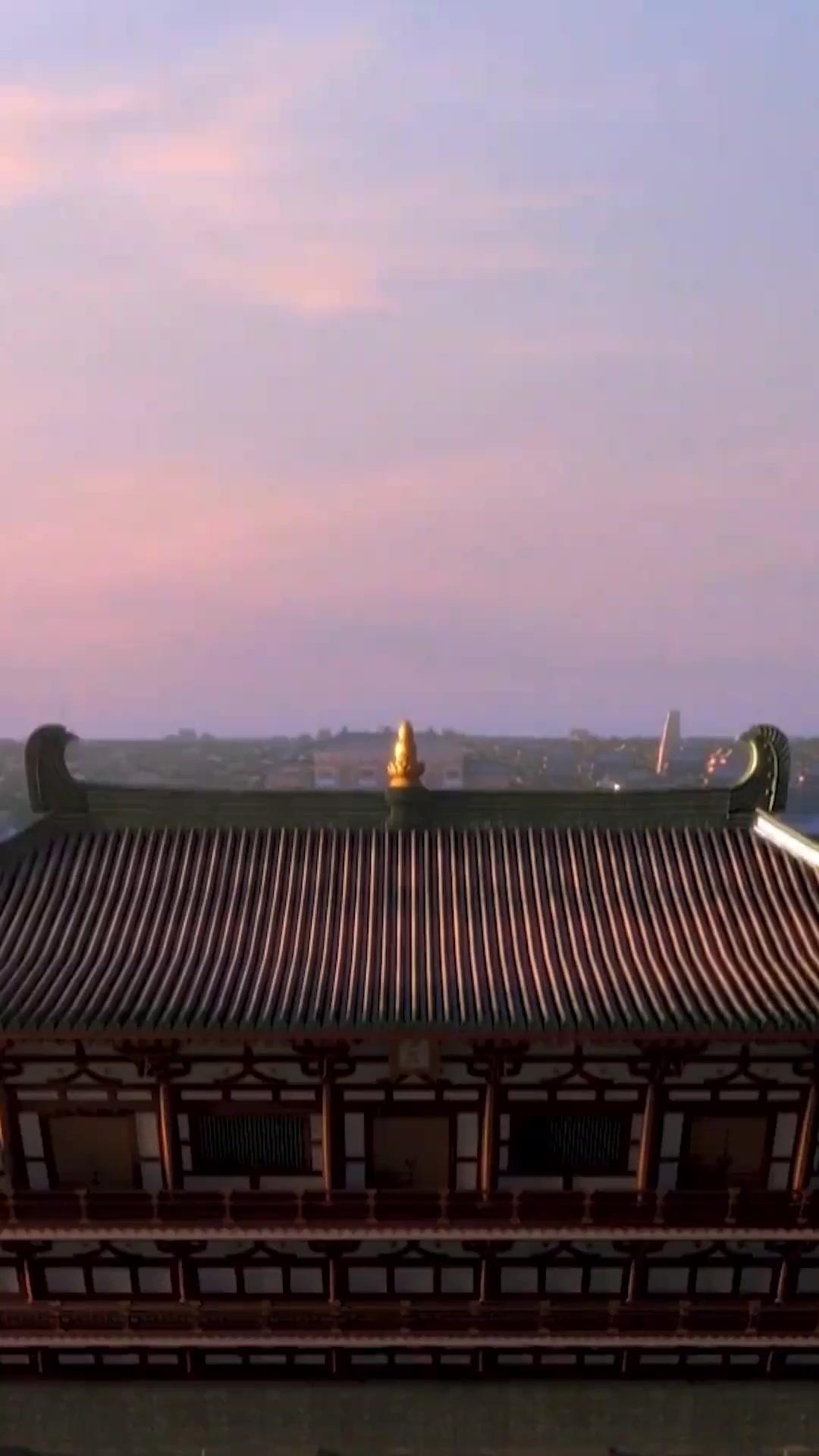 (吹き替え) 花散る前に君を愛す