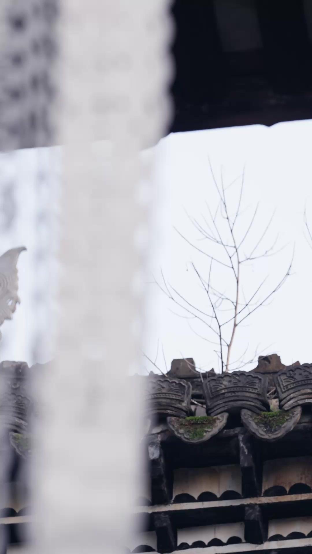 Pengantin & Pengebumian