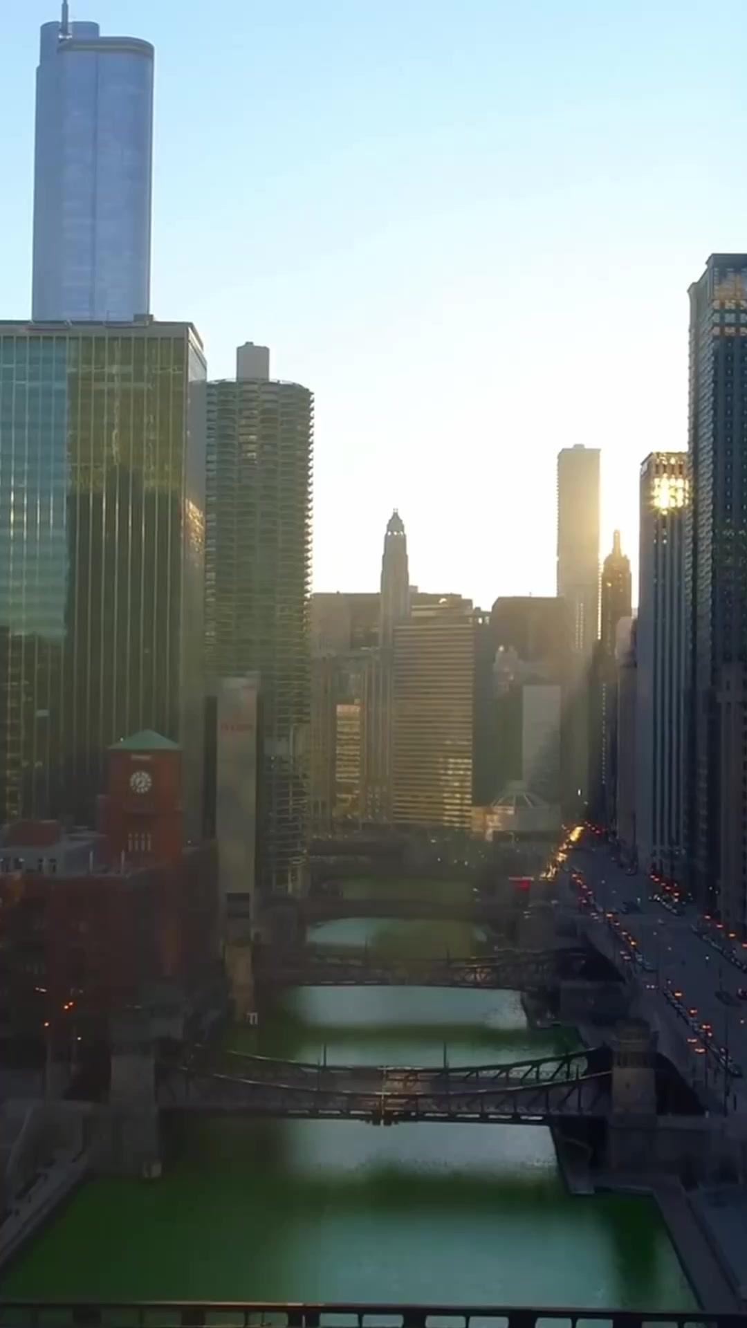 My Doomed Stand-in Bride, True Love!