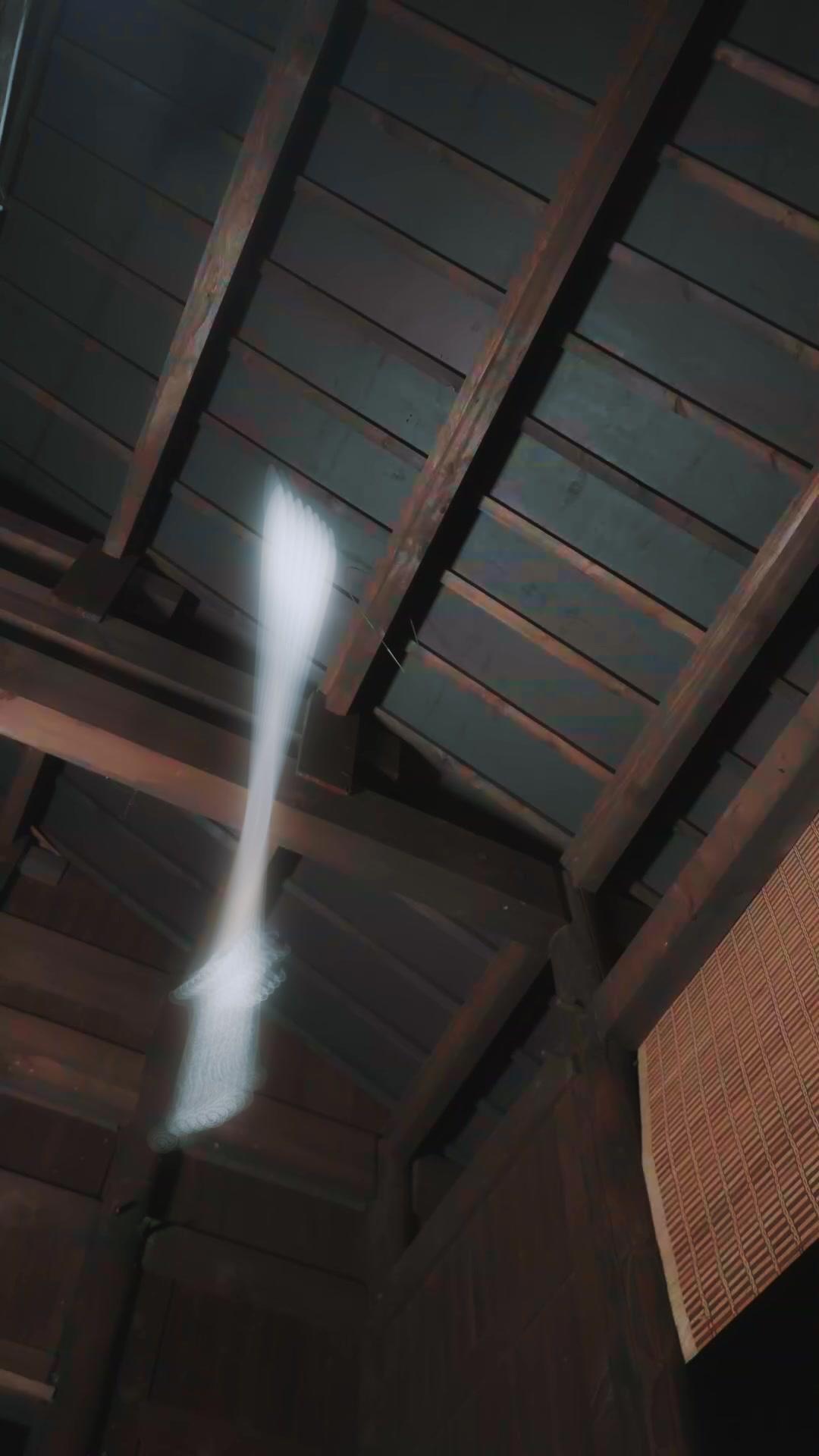 แปดปีใต้เงาสวรรค์