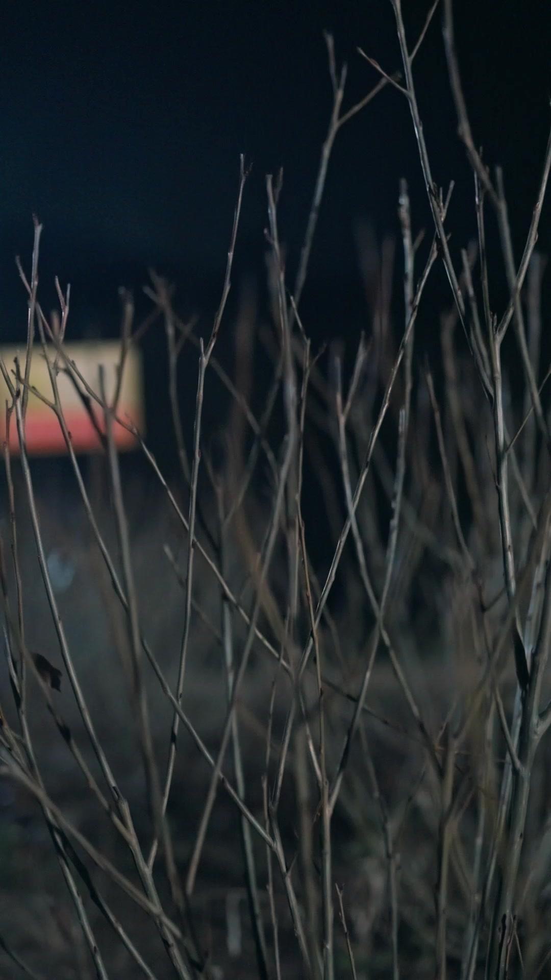 Ex, Your Dead Wife Is Back!