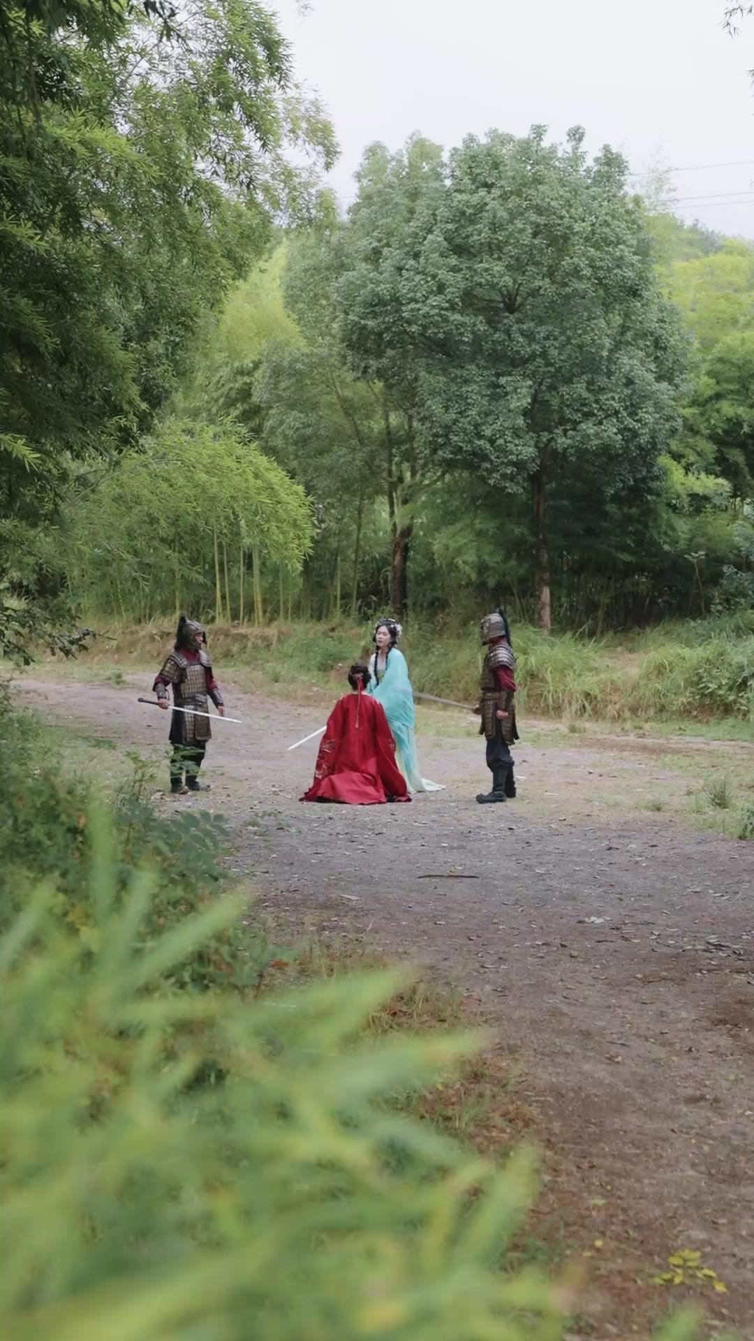 風華昭月：重生擇君錄