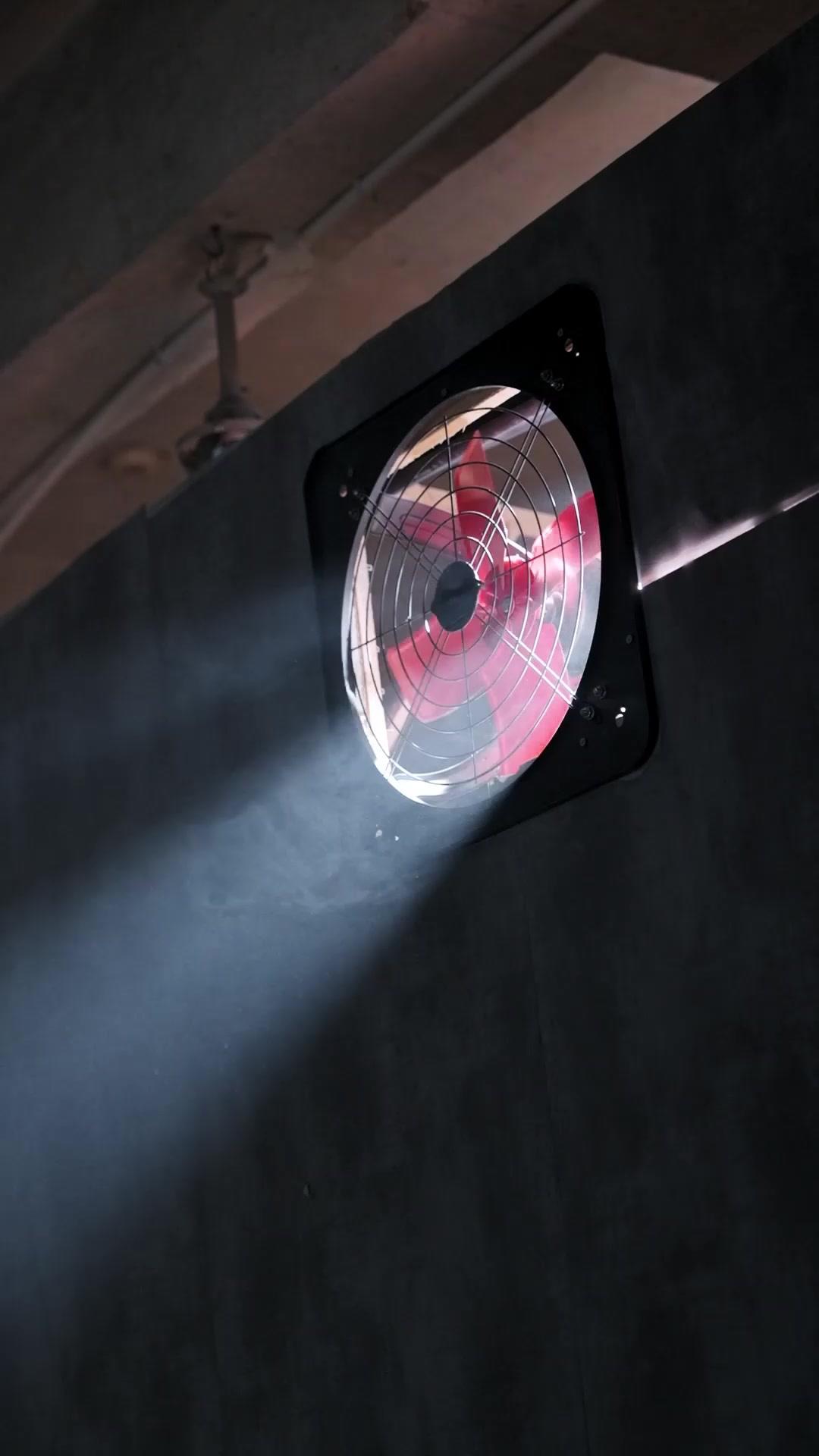 被背叛後，他撿走了我