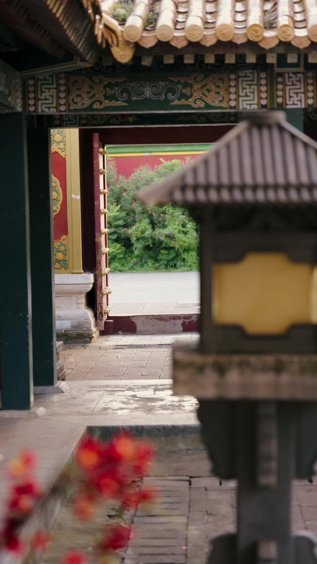 Hồng Diện Sát