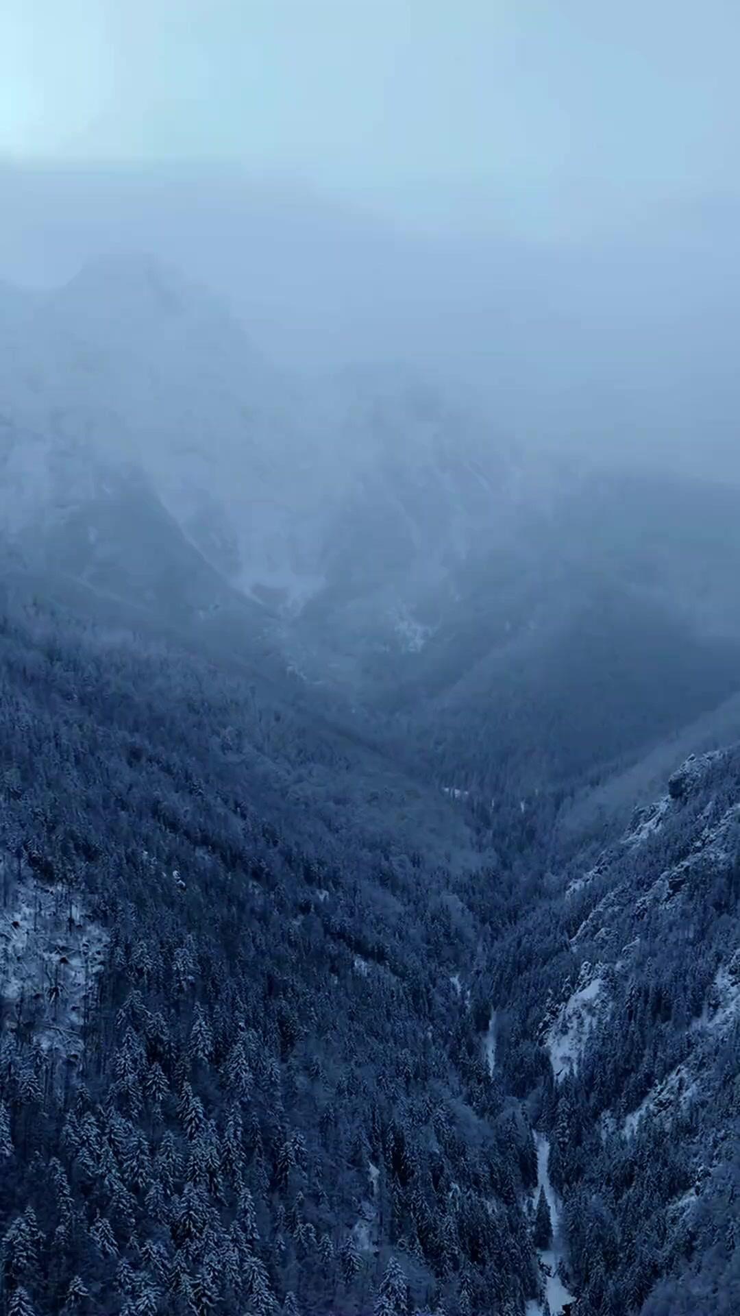 Beş Kız ve Bir Babalık Macerası