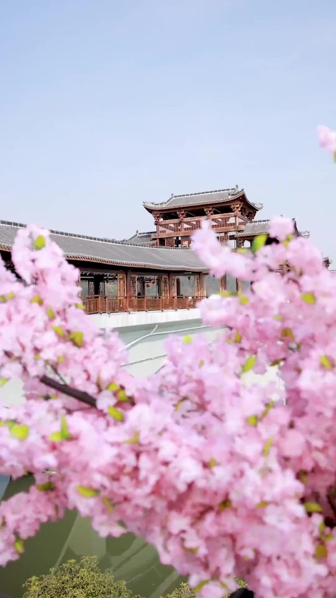 Boss, Your Girl Packs a Punch