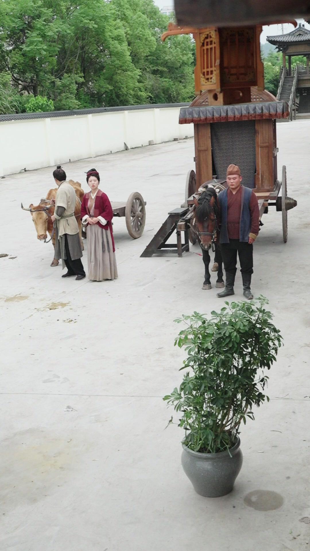 Surprise! You’re the Prince!