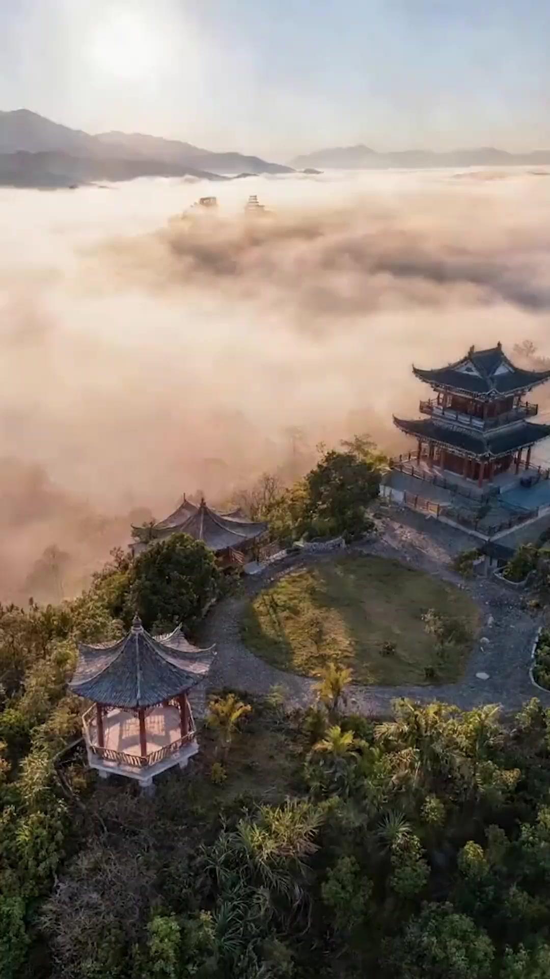 Nội Trợ Lại Là Tiên Tôn