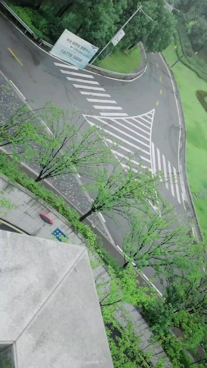 ¿La sustituya de quién?