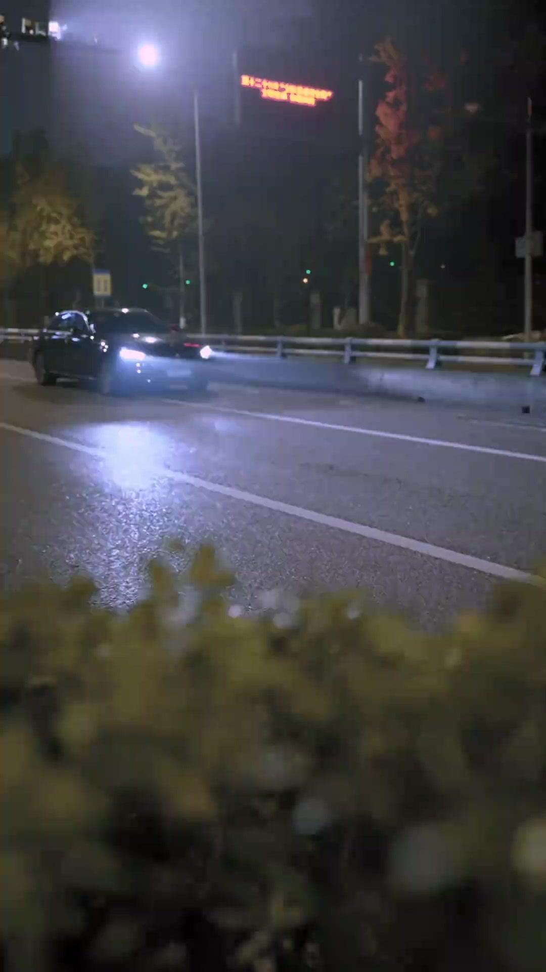 Chim Khách Về Tổ