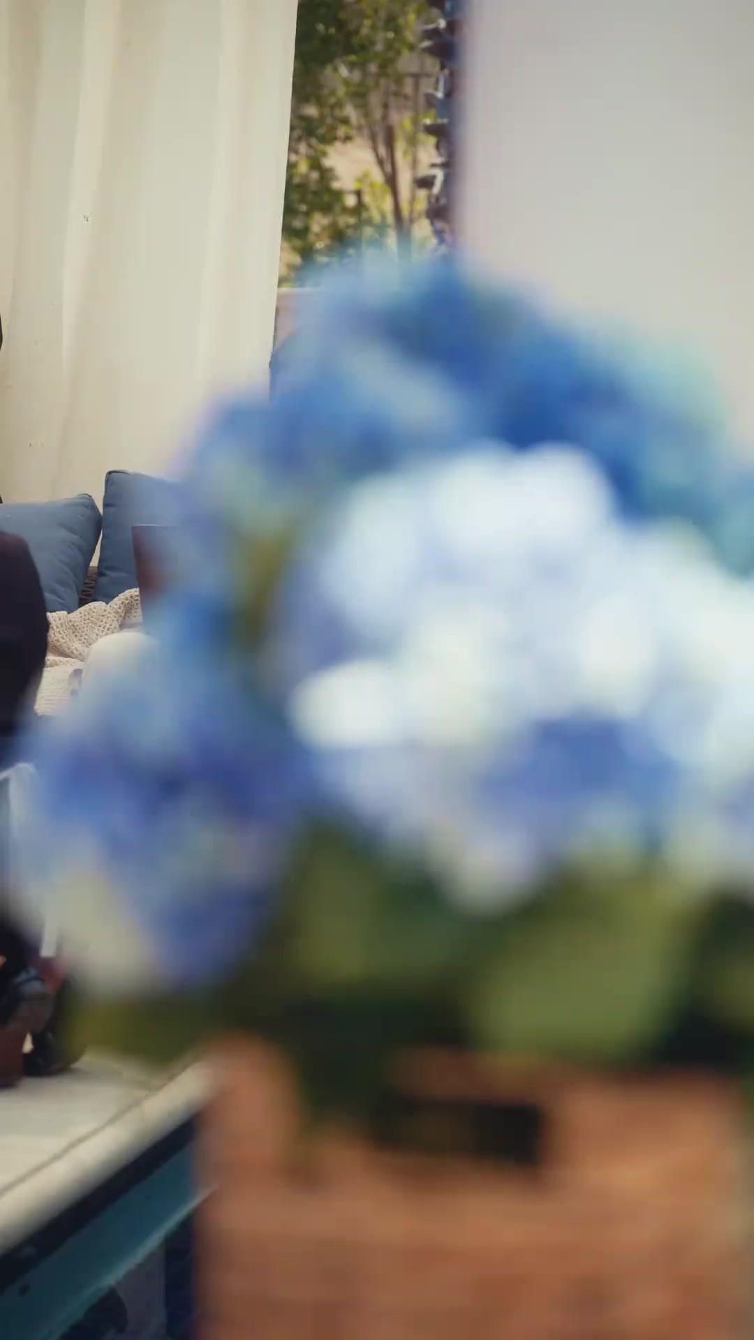 (Doblado)Gemelos inesperados, amor prohibido