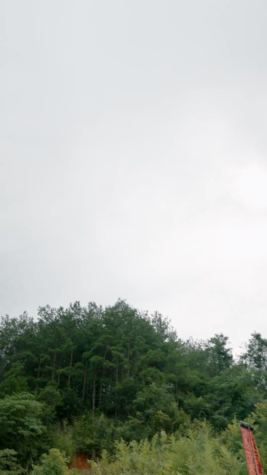 ระบบลับ พลิกเป็นเทพ