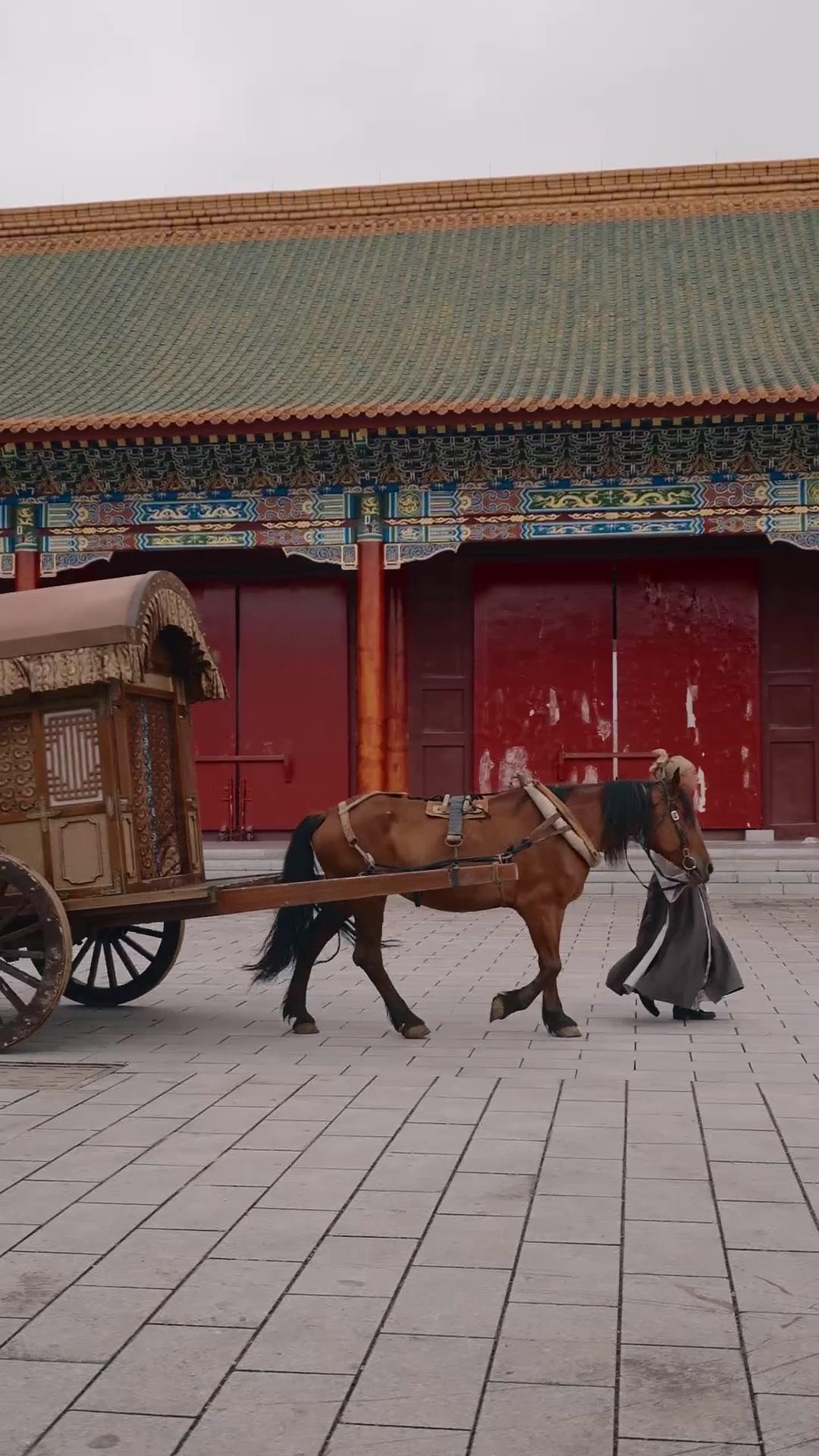 El velo de la corona