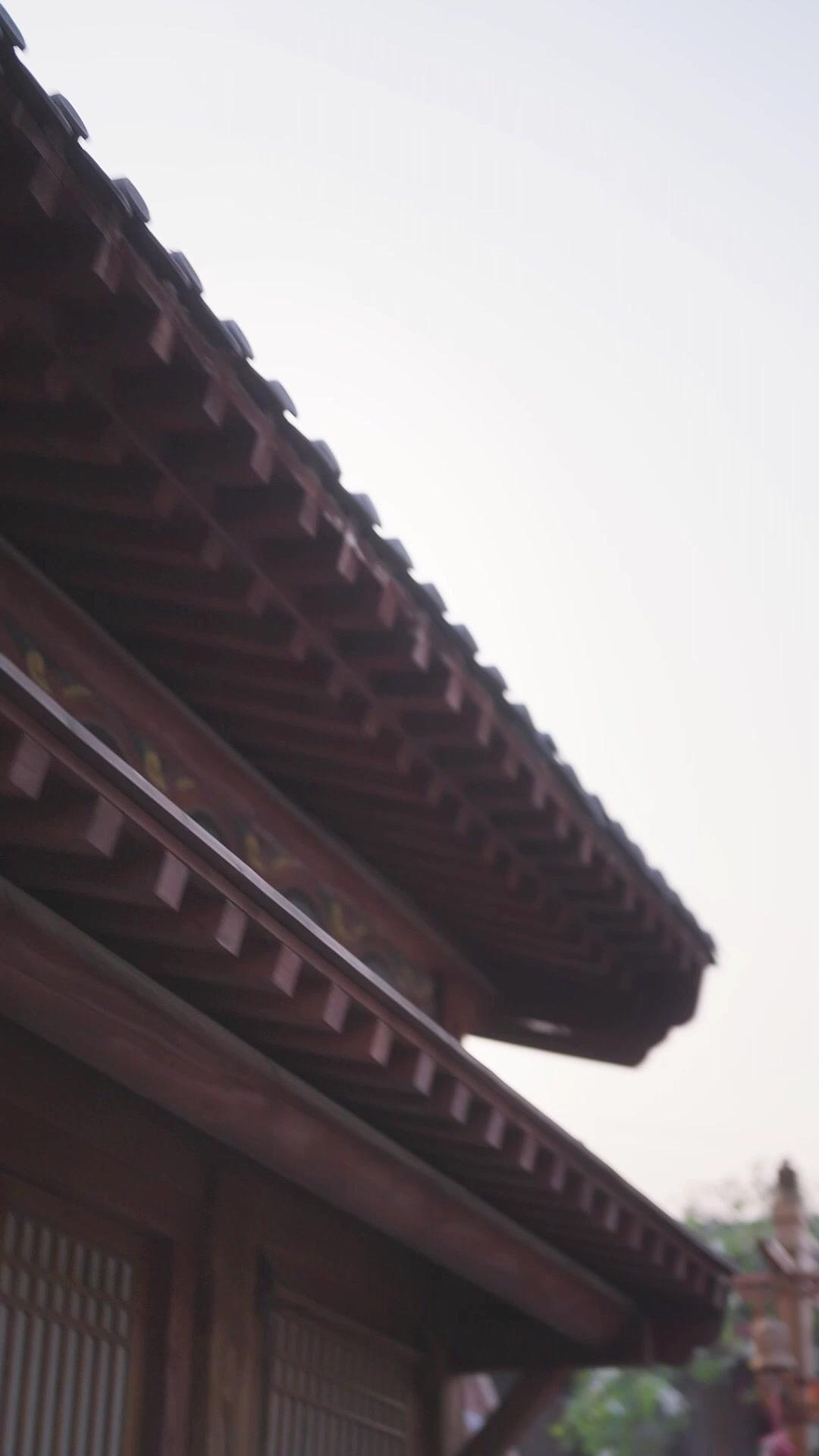 Left to Die, Back to Kill