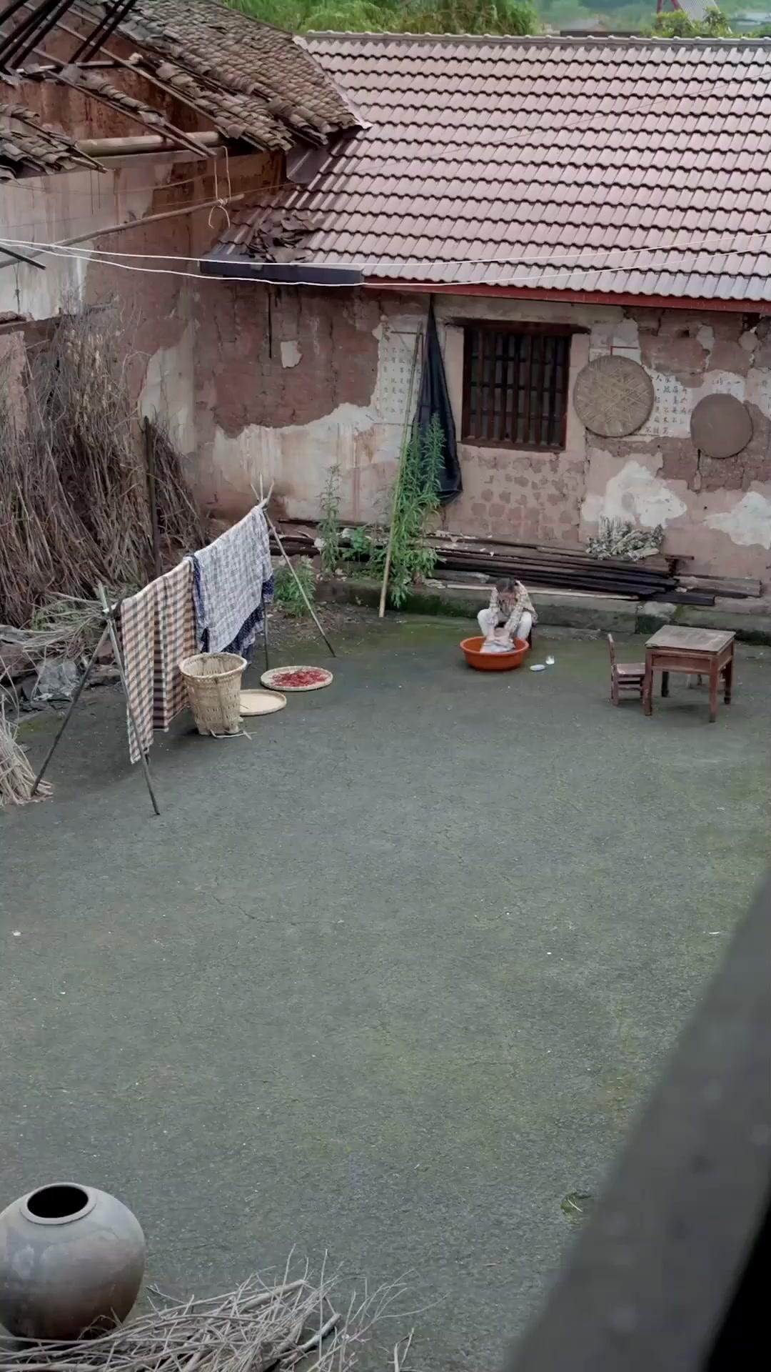 Rumput Deria, Akar Kaya