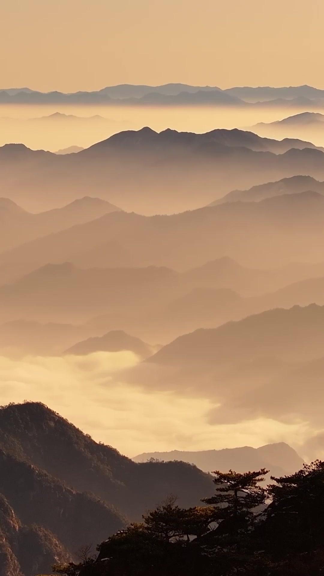 最弱体×最強魂！肥満の私が天下を取る！