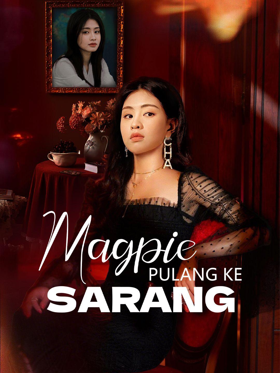 Magpie Pulang ke Sarang