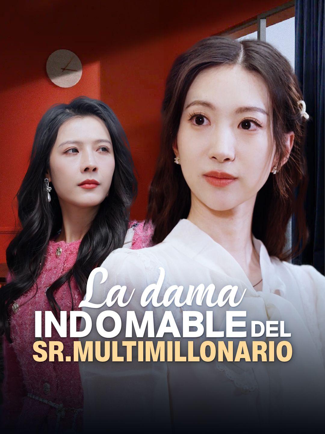 La dama indomable del Sr. Multimillonario