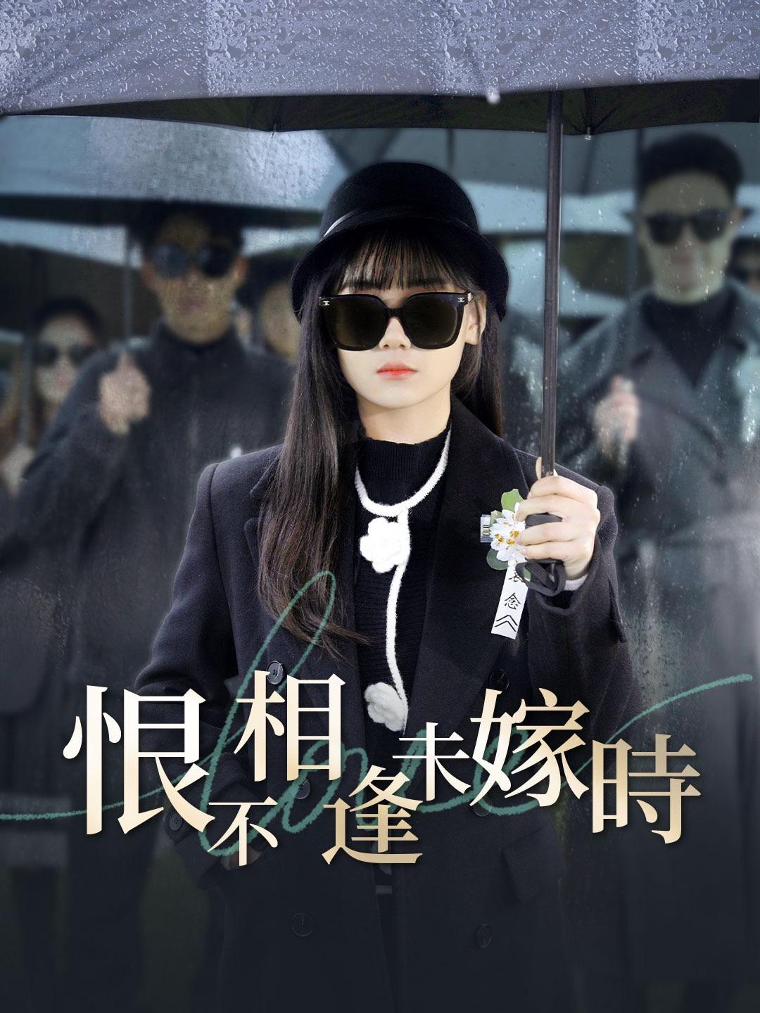 恨不相逢未嫁時 第1集