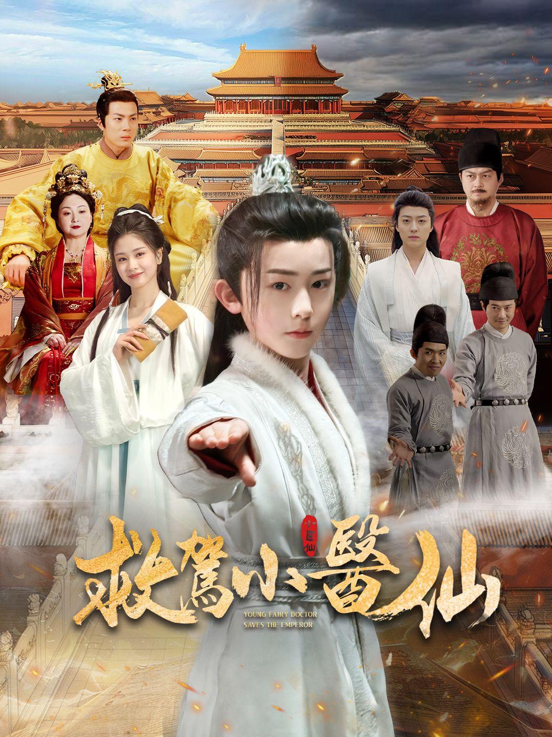 救駕小醫仙