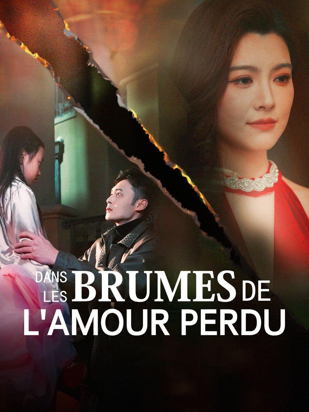 Dans les brumes de l'amour perdu