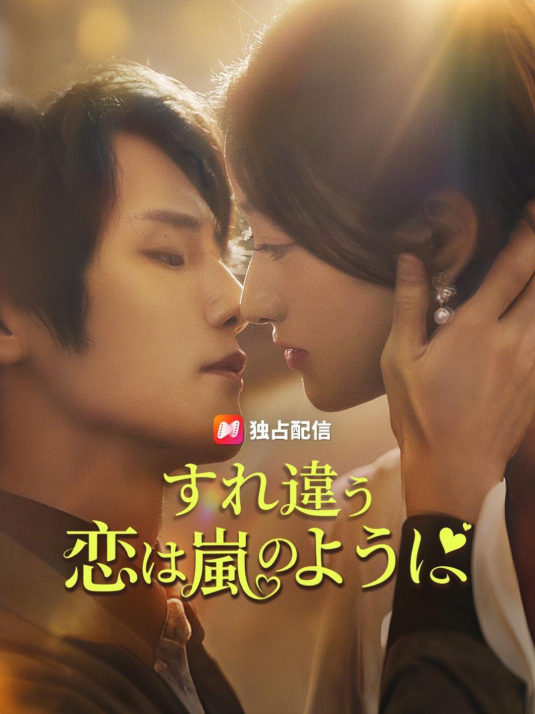 (吹き替え)すれ違う恋は嵐のように