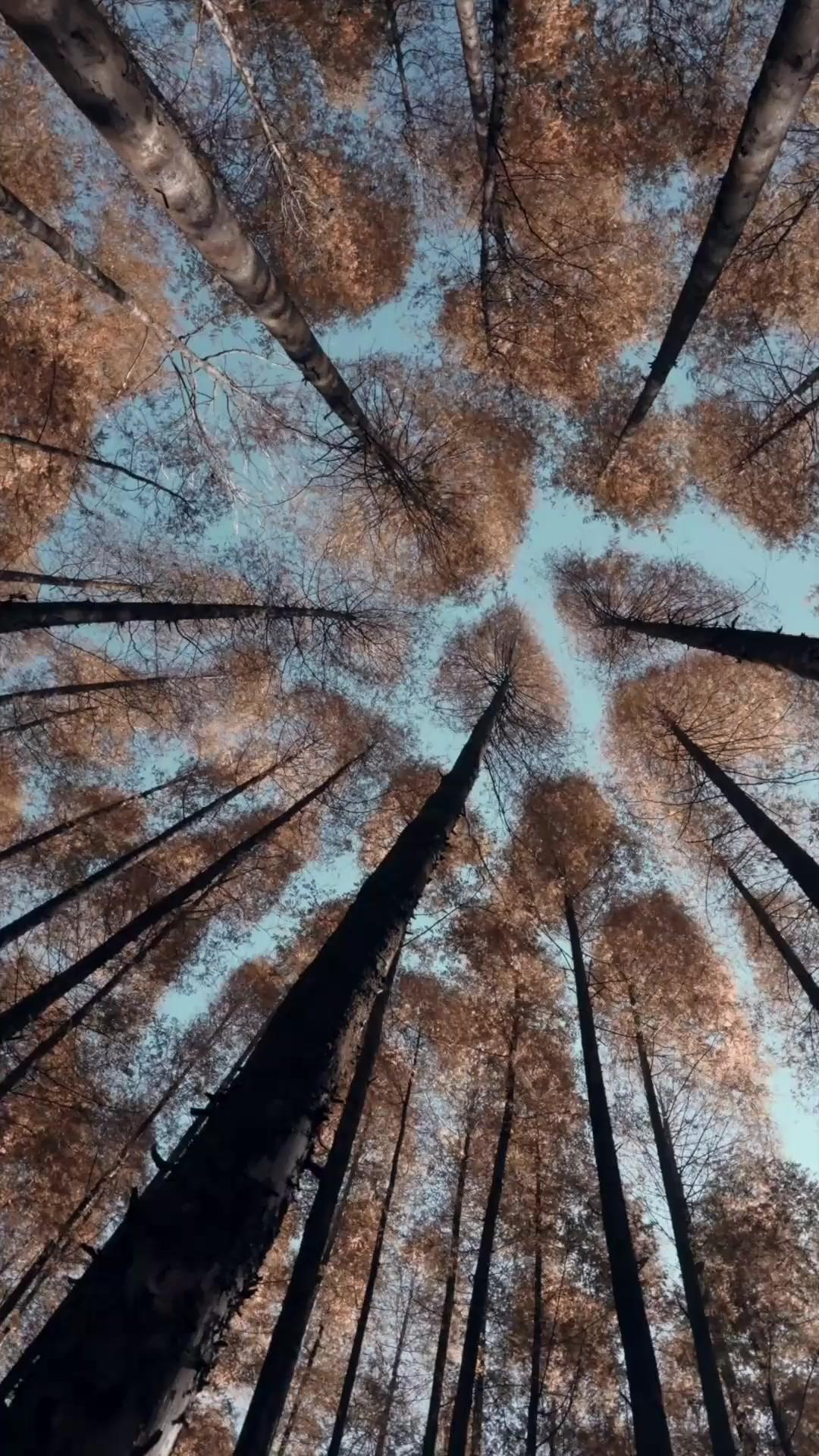 Oops, I Married a Prince!