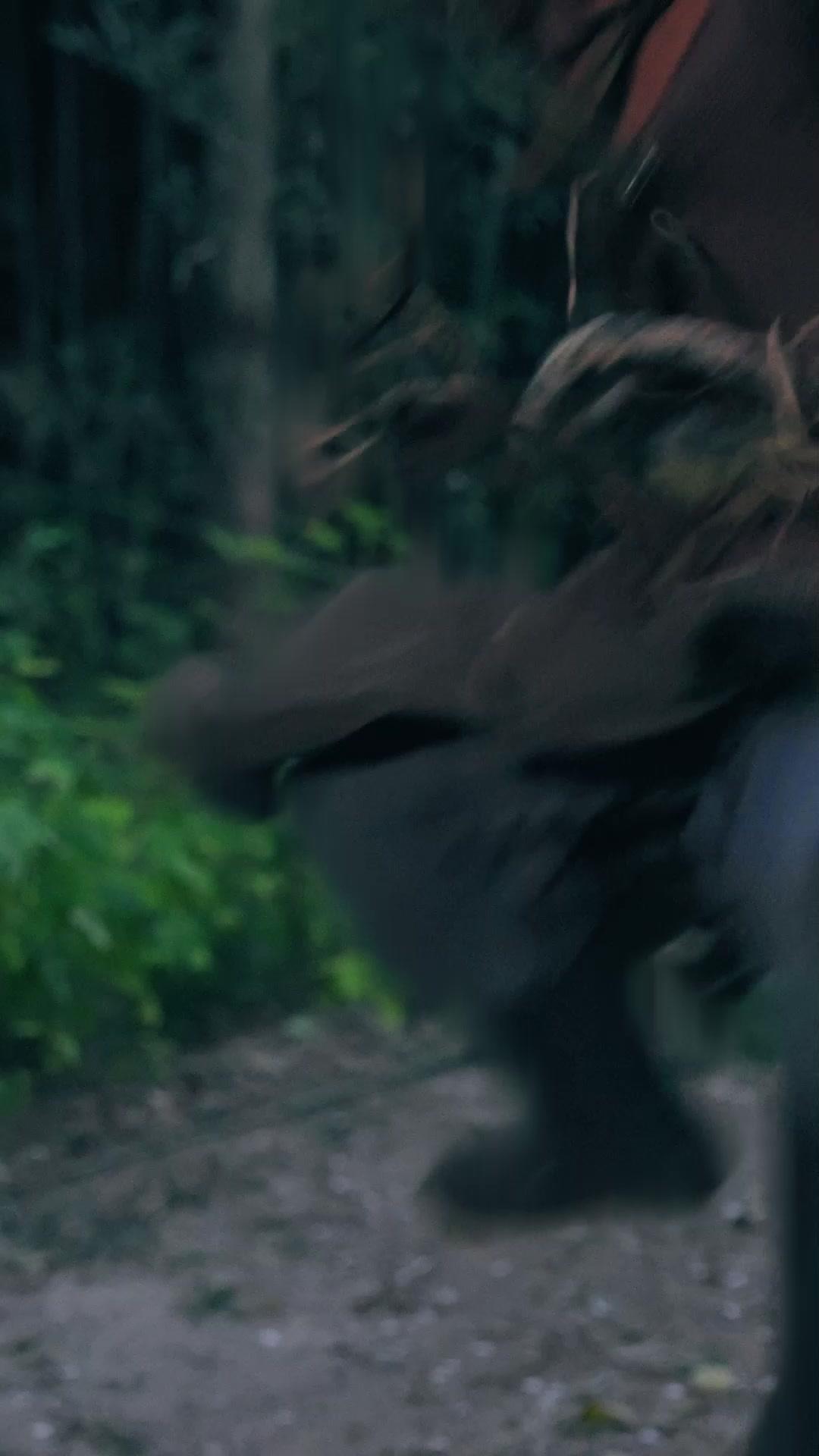 Dämon in Seidengewand