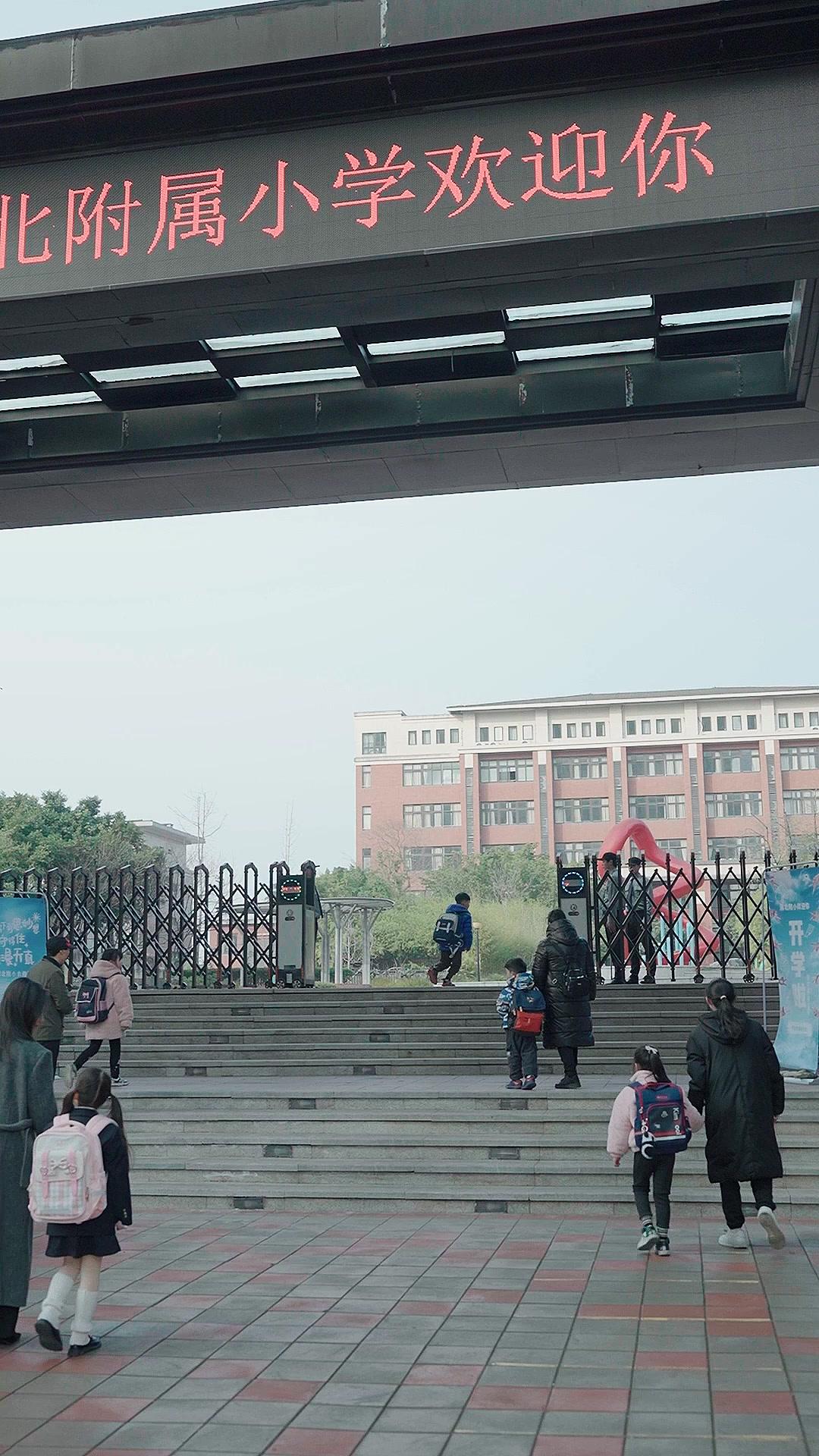 学籍は血より重い！