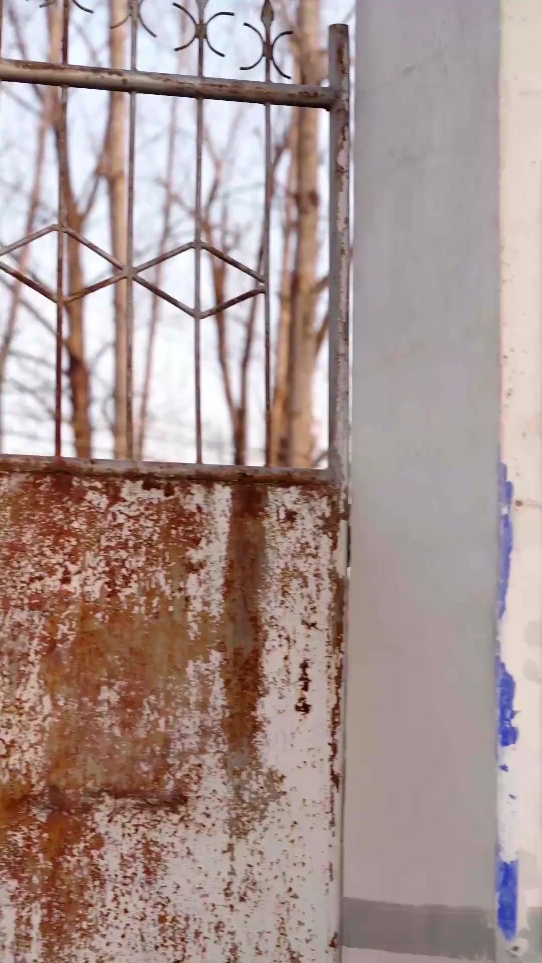 焼き鳥屋の俺、元は最強の極道でした