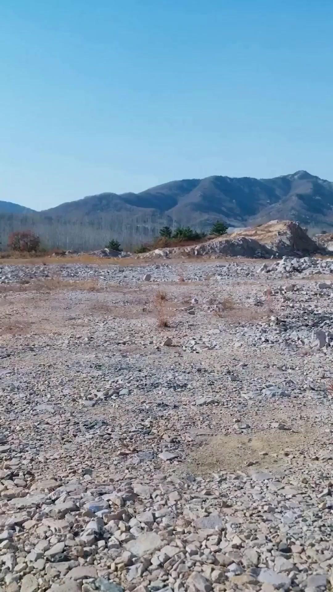 (Dublajlı) Melez Tanrı